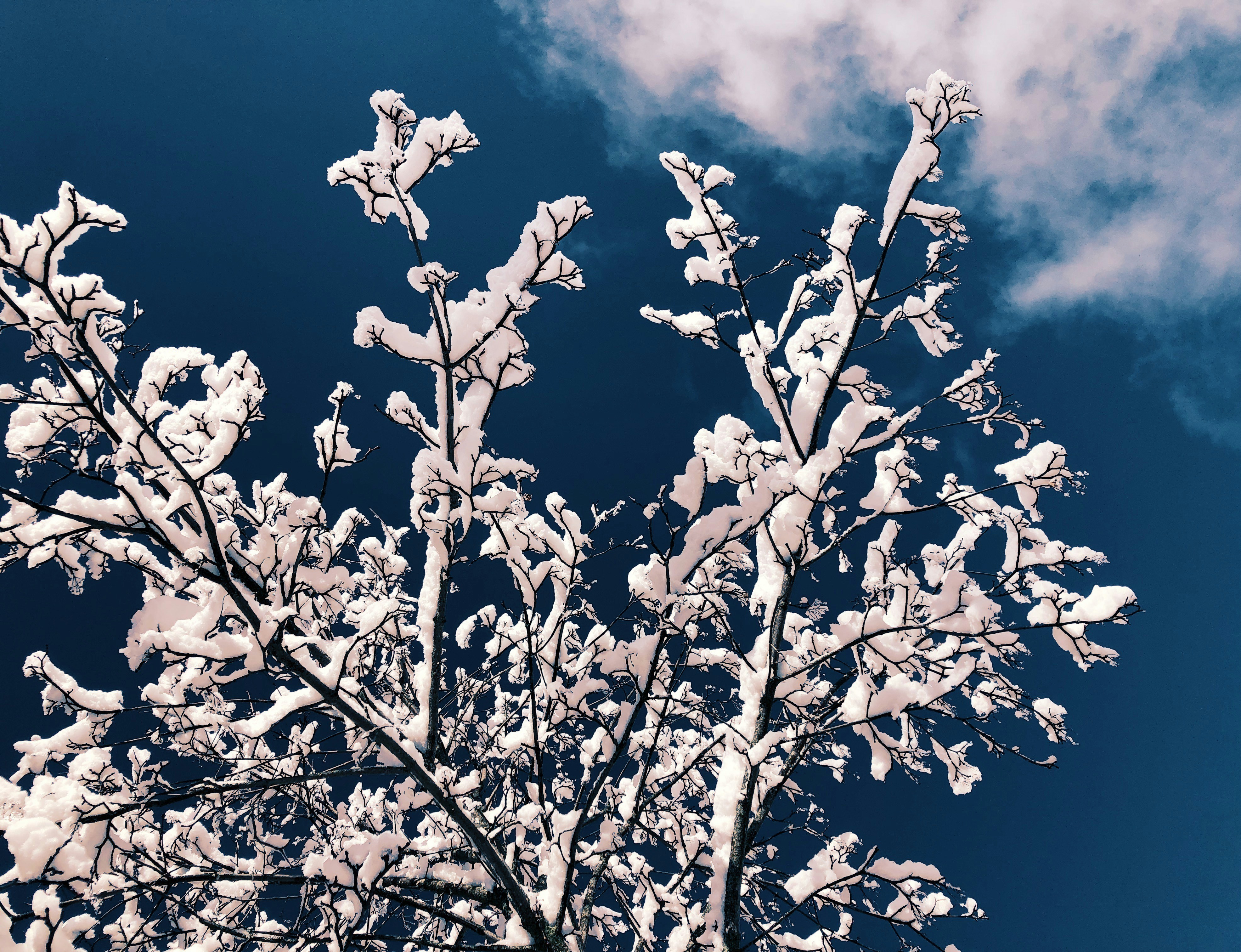 Photo by charlottemaryrose