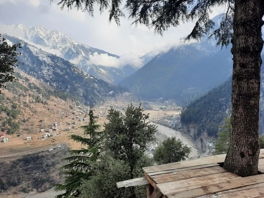 depression college guide