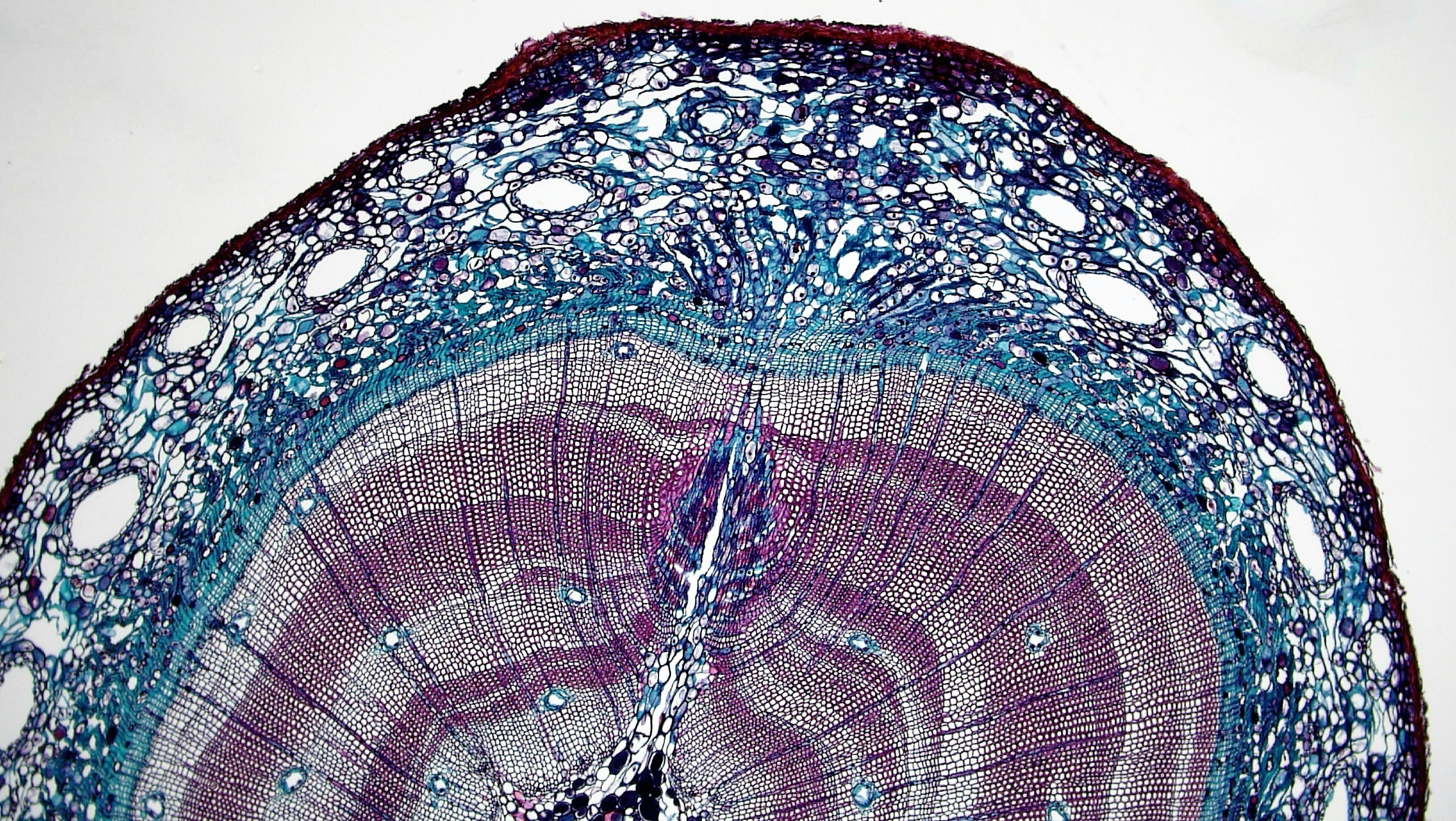 Domain-Driven Design