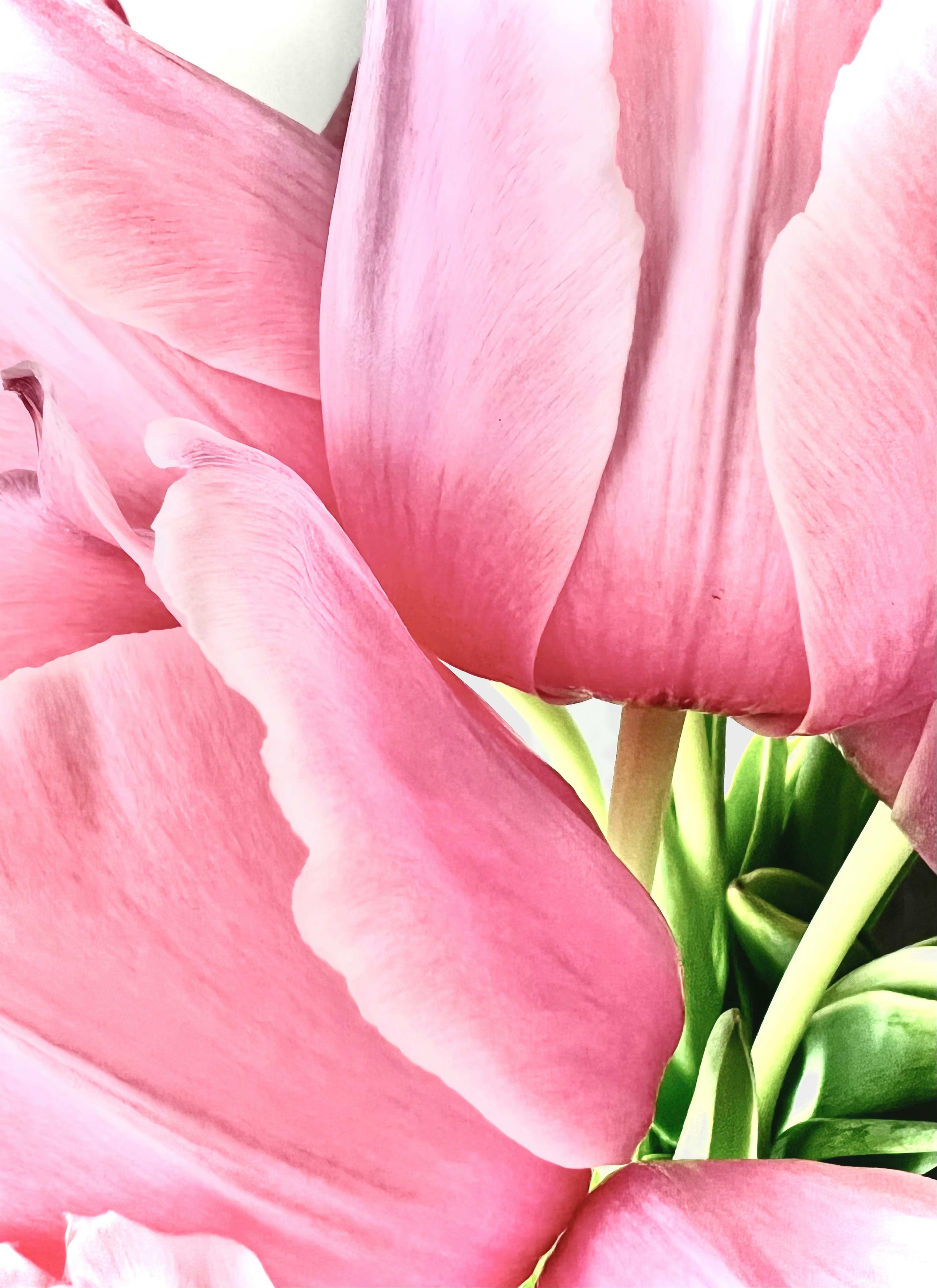 Photo by aleksandra_ua