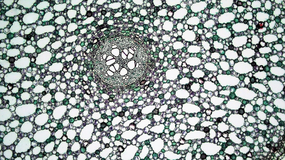 a close up view of a green and white object
