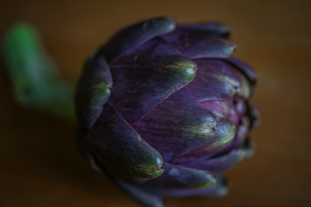 a close up of a purple flower on a table