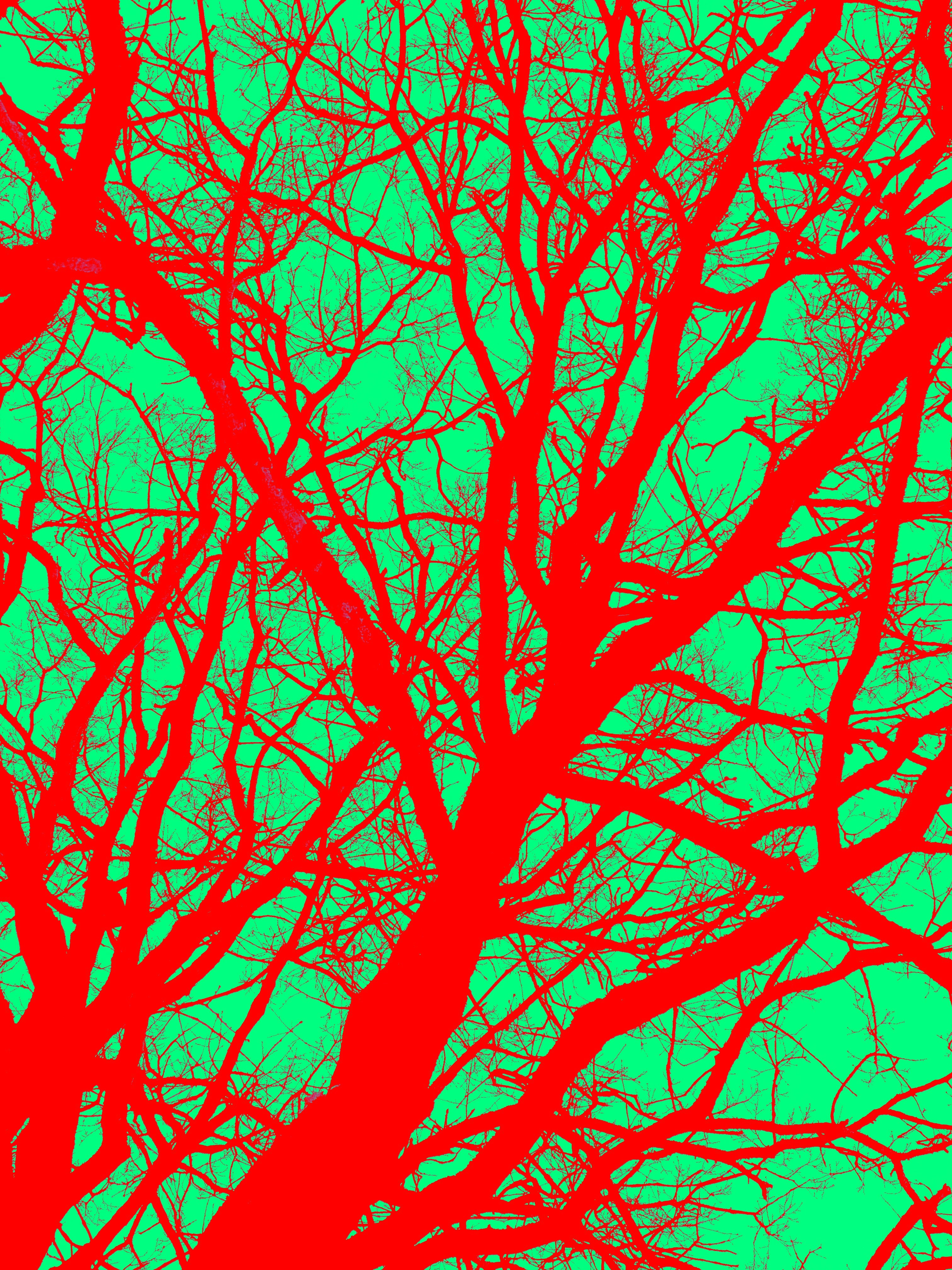 Photo by eugene_golovesov