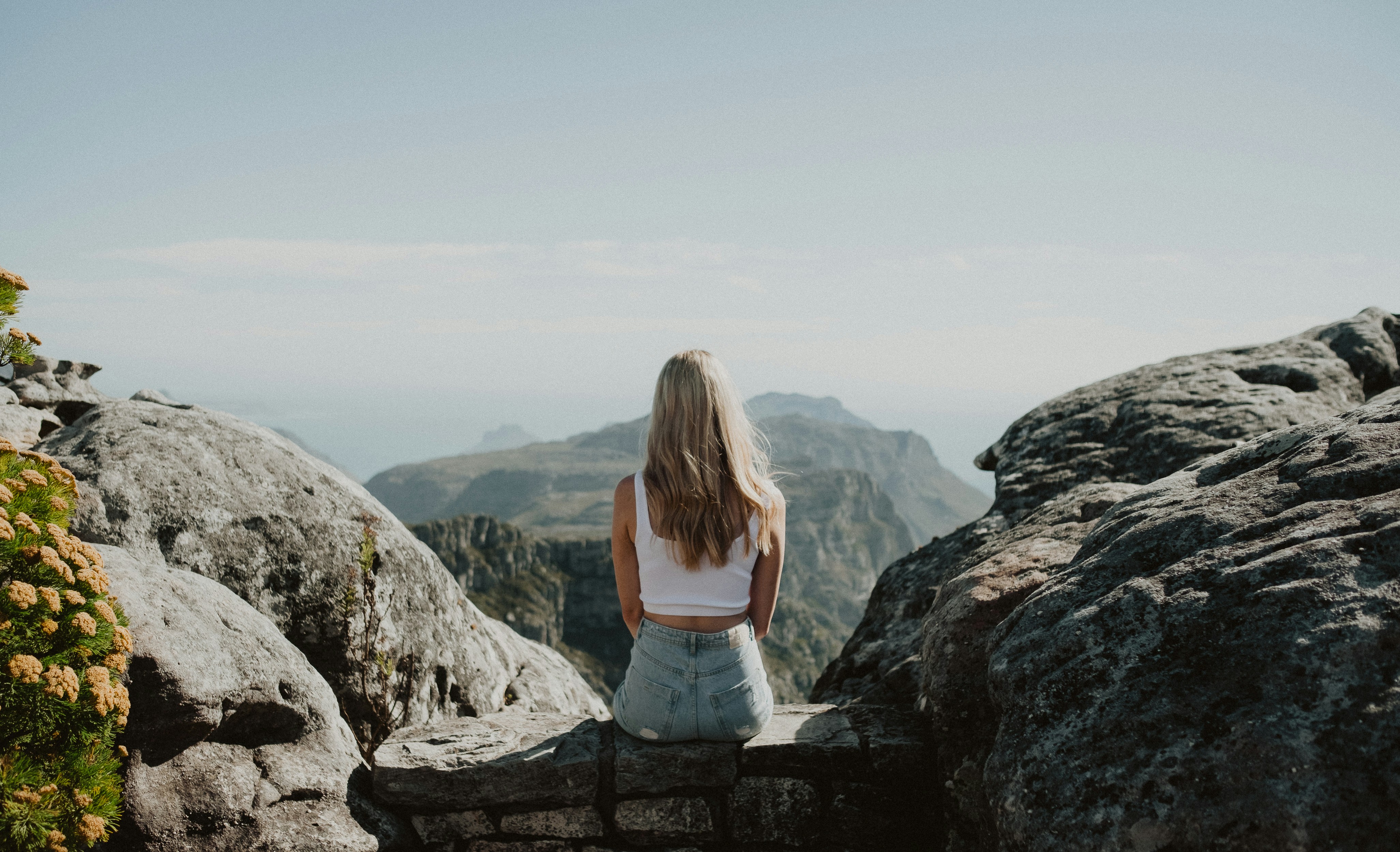 The Hidden Logic of Flavor Pairing That Professional Chefs Use Instinctively