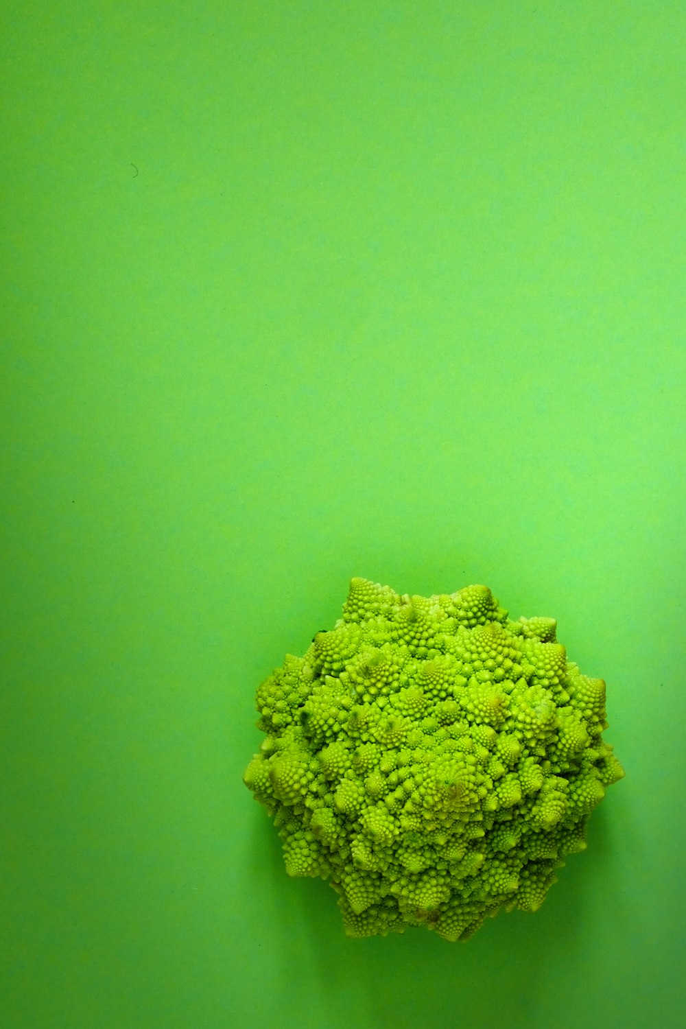 a piece of broccoli on a green background