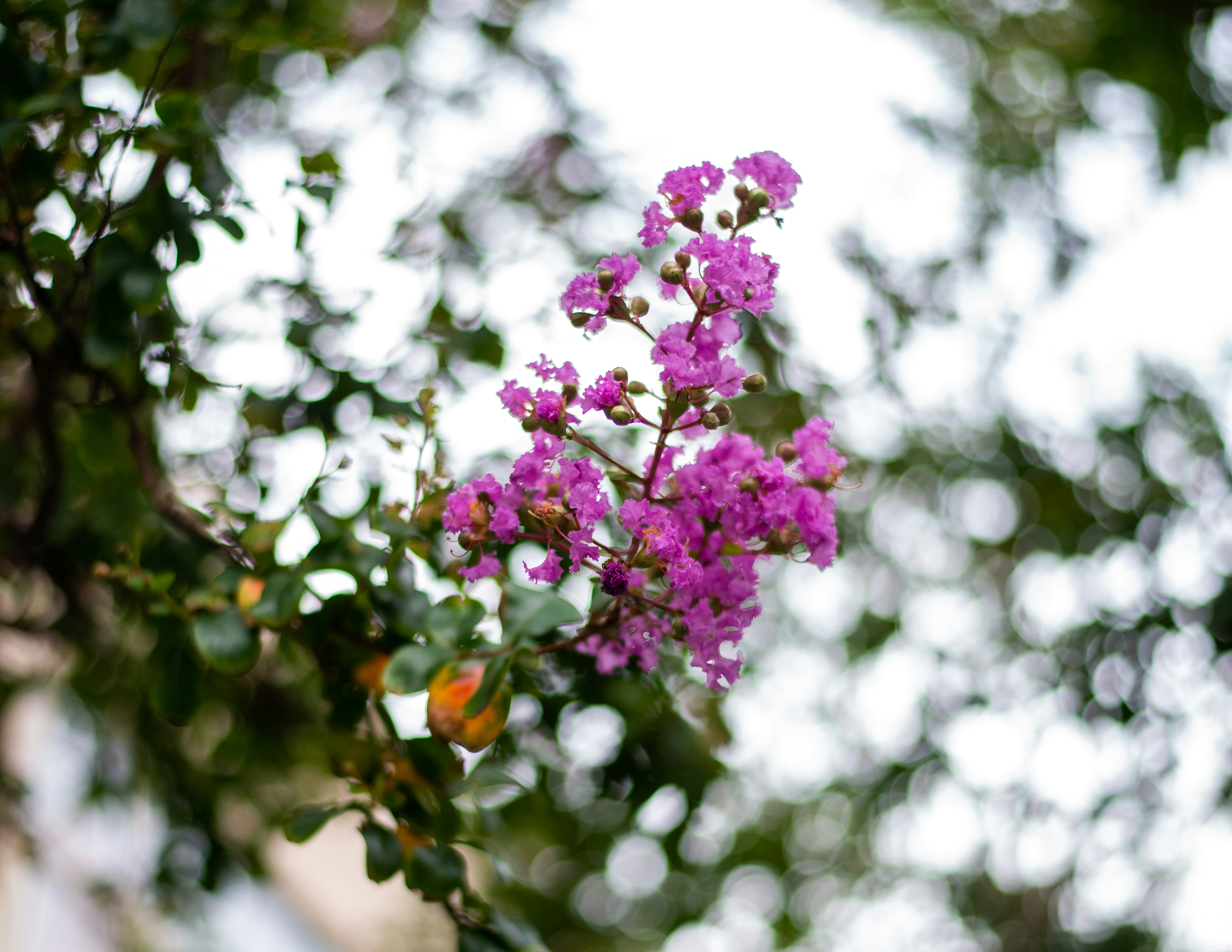 Photo by nikolasgannon