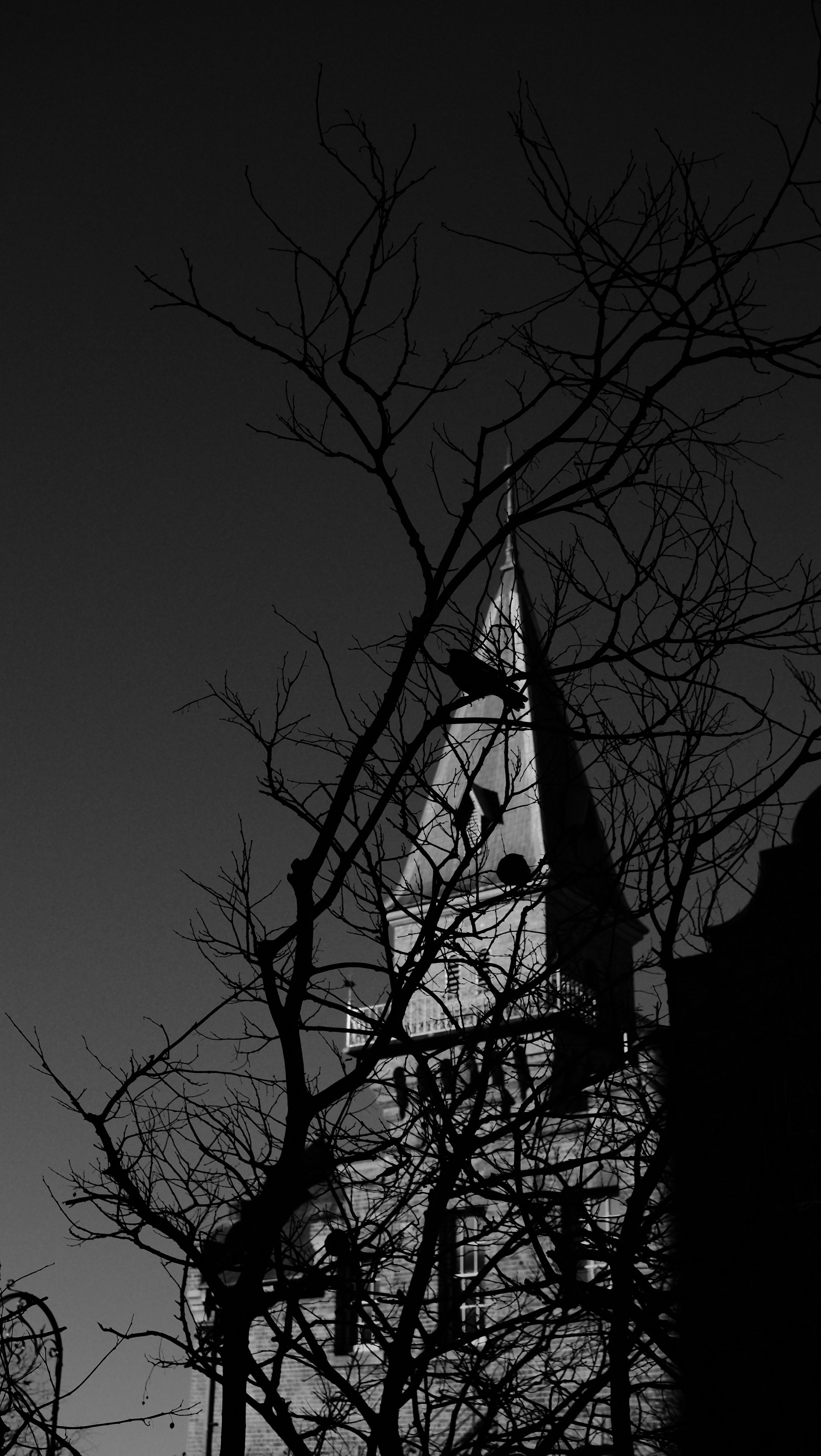 Photo by nikolasgannon