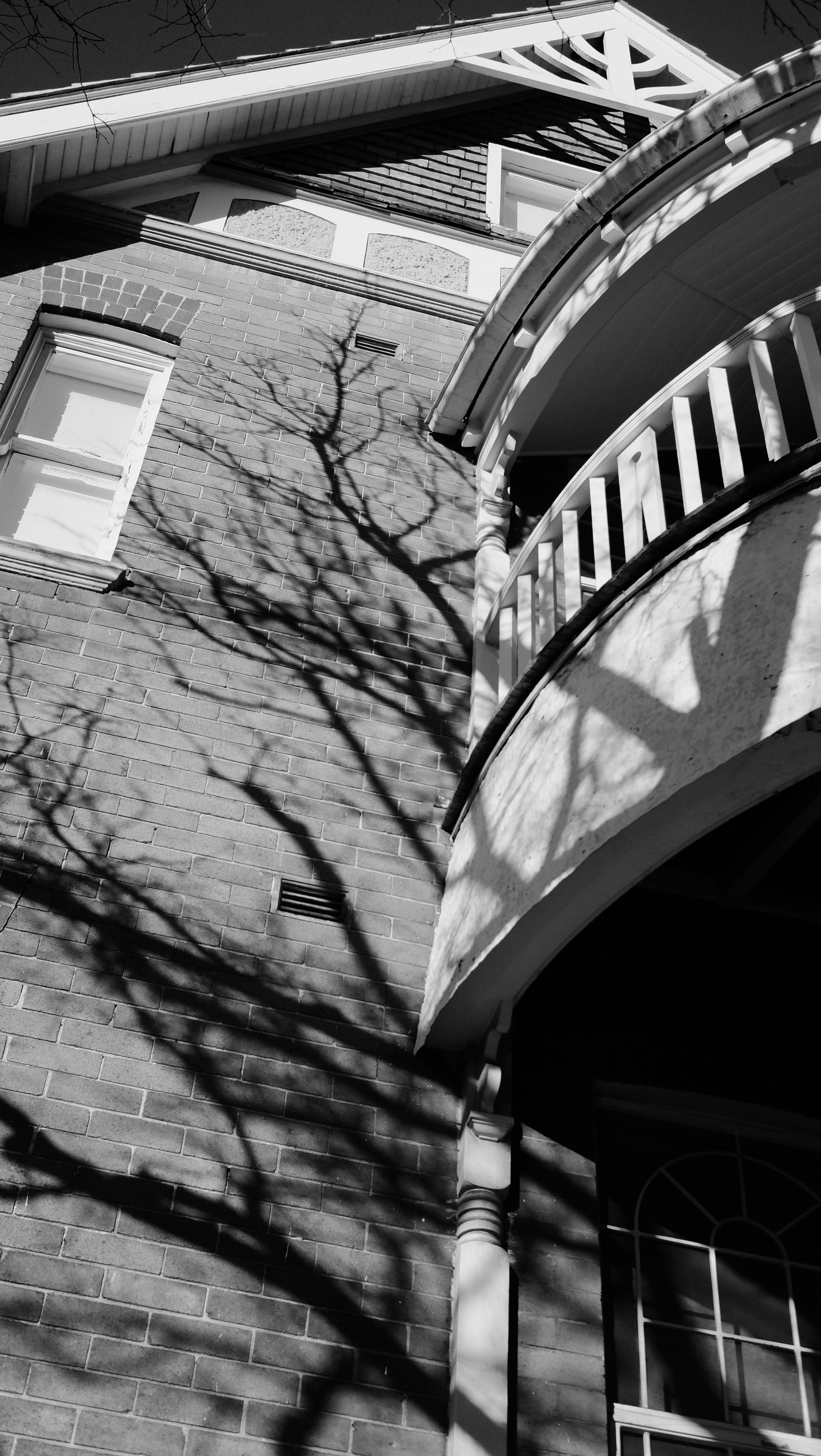 Photo by nikolasgannon