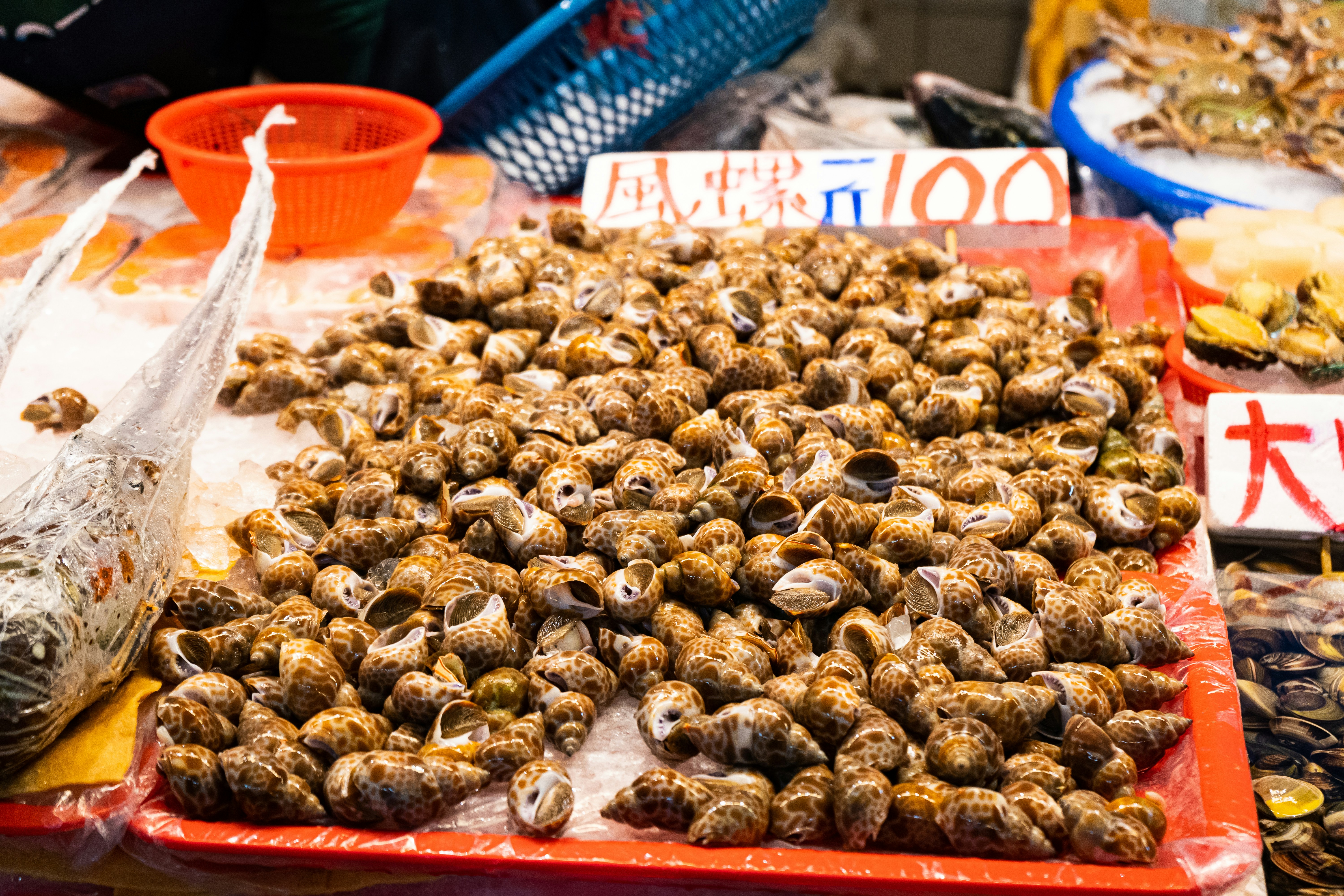 5. Hệ thống Ốc Thiên Nhiên - Ngon, bổ, rẻ cho mọi nhà