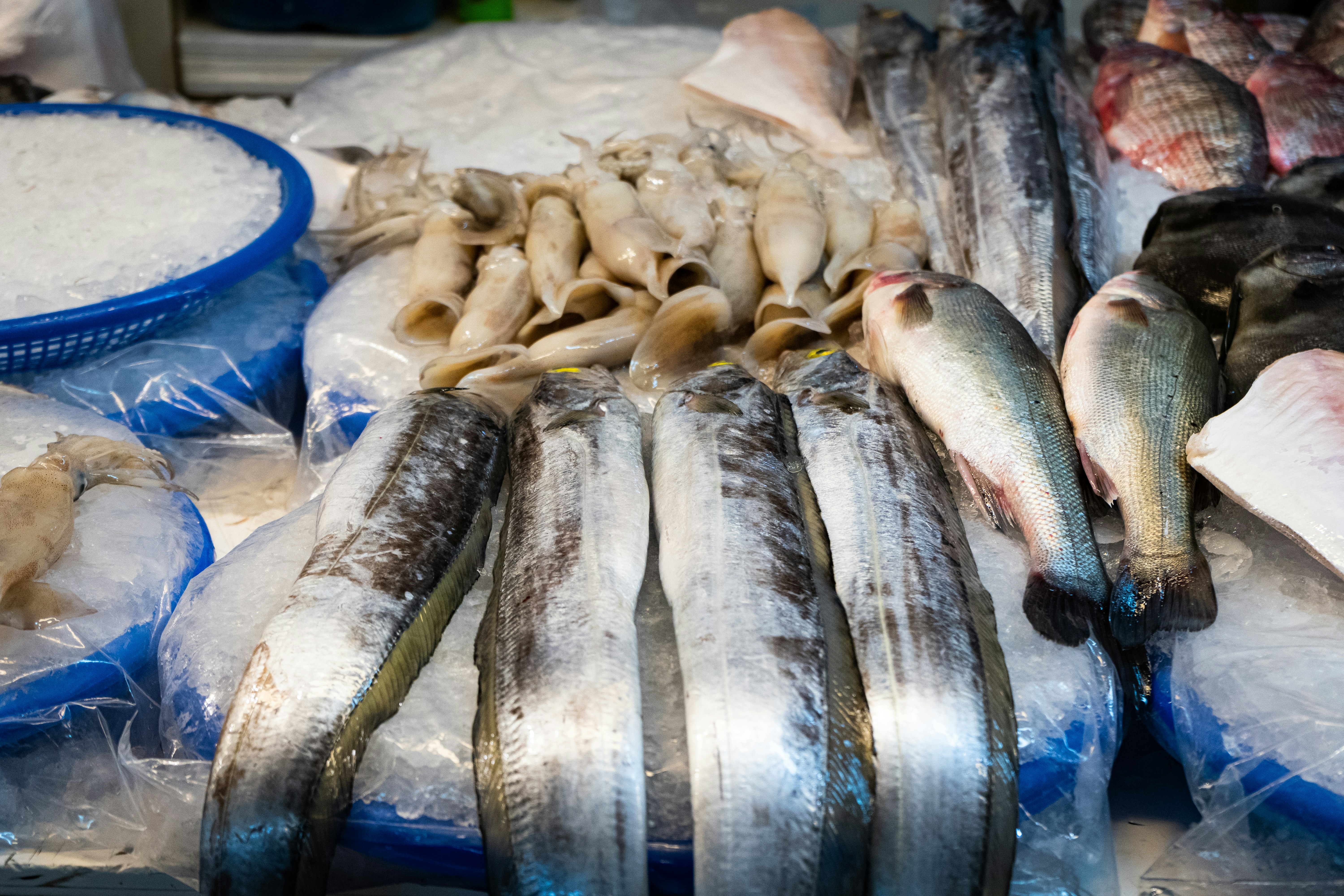 Sustainable Seafood Subscription Box