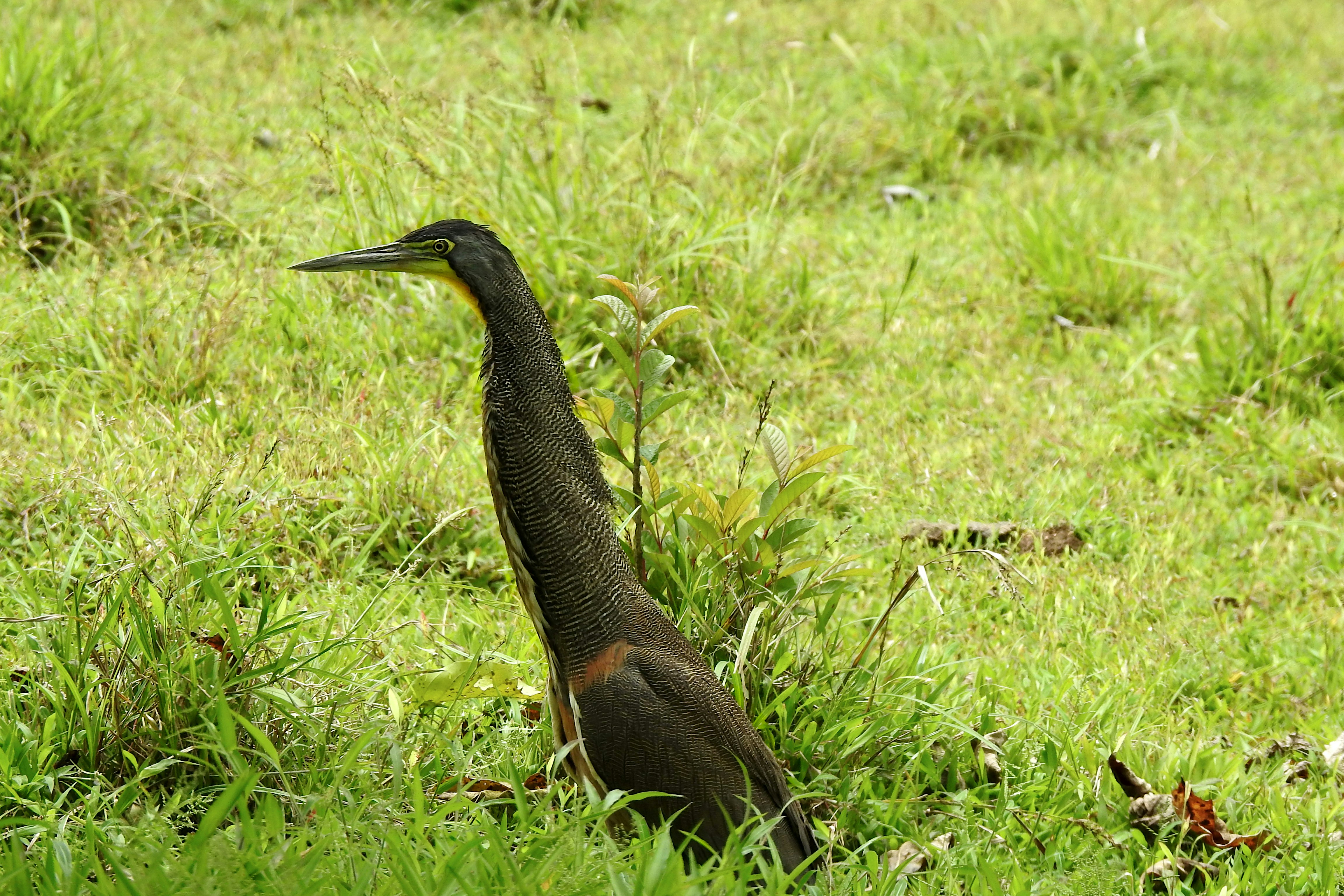 Photo by artemisdesign