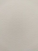 A smooth, light-colored wall texture with subtle variations in tone and slight imperfections visible on the surface.