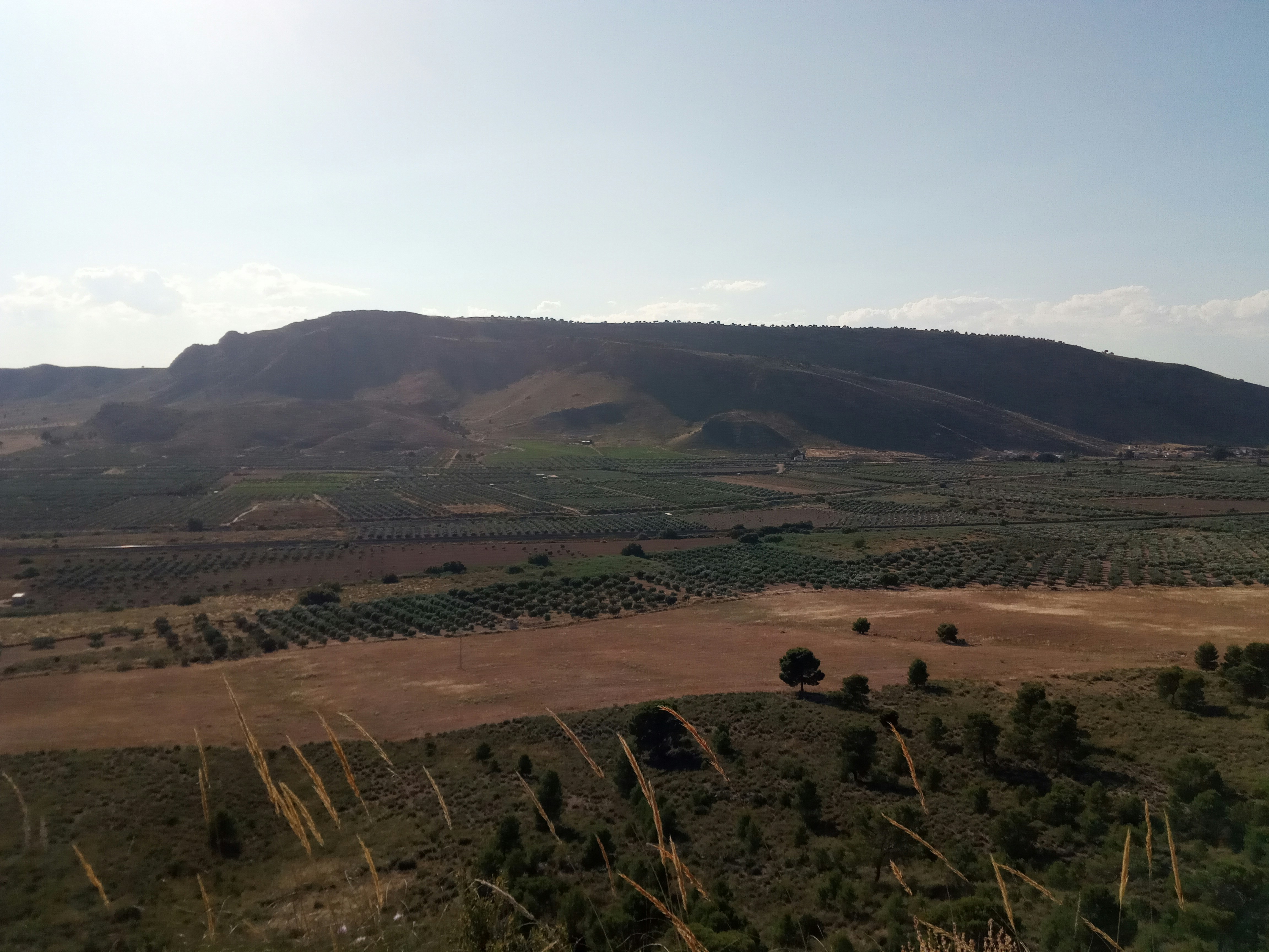 an aerial view of a hilly area with a mountain in the background