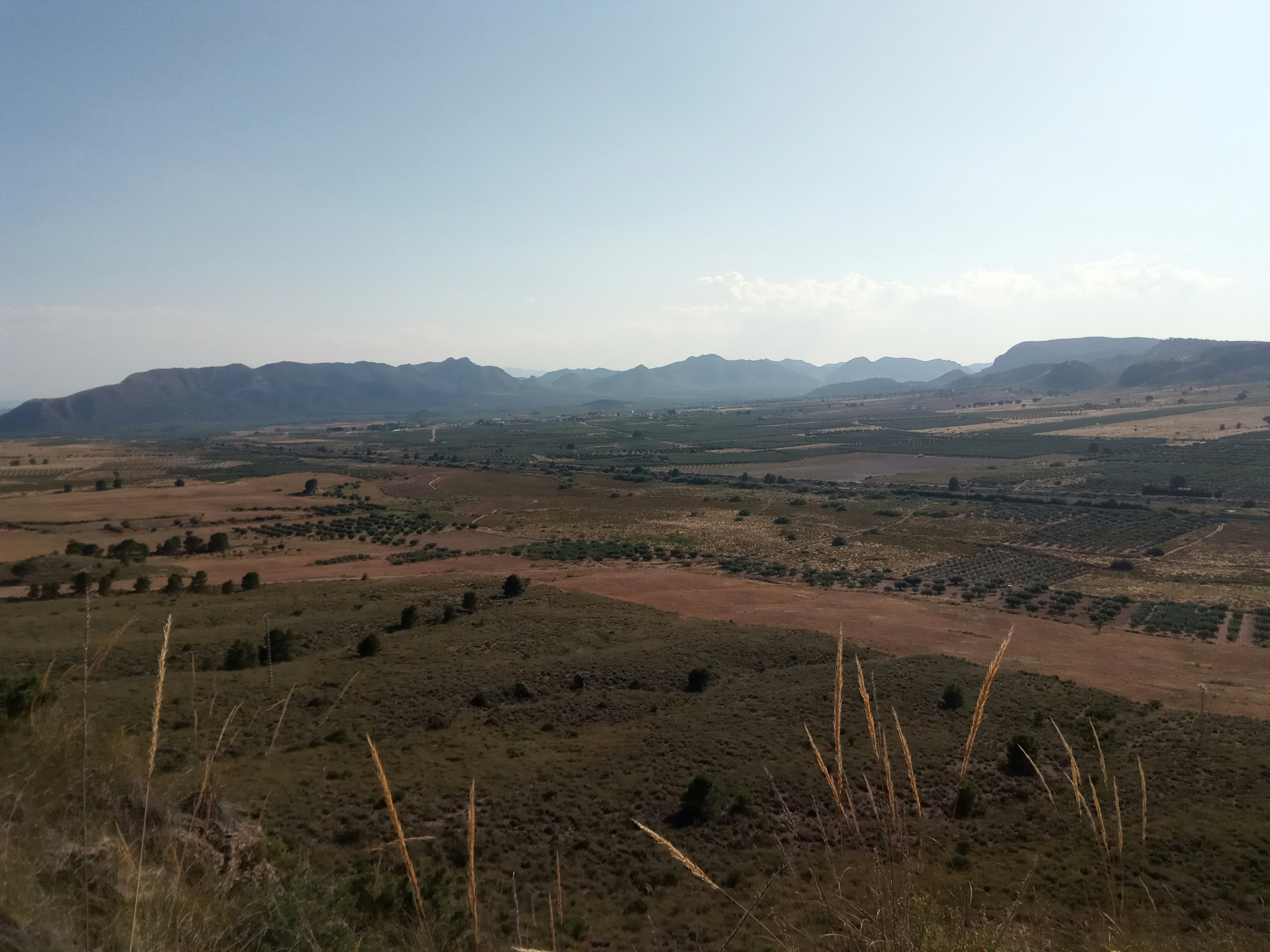 Photo by bancodeimagenes