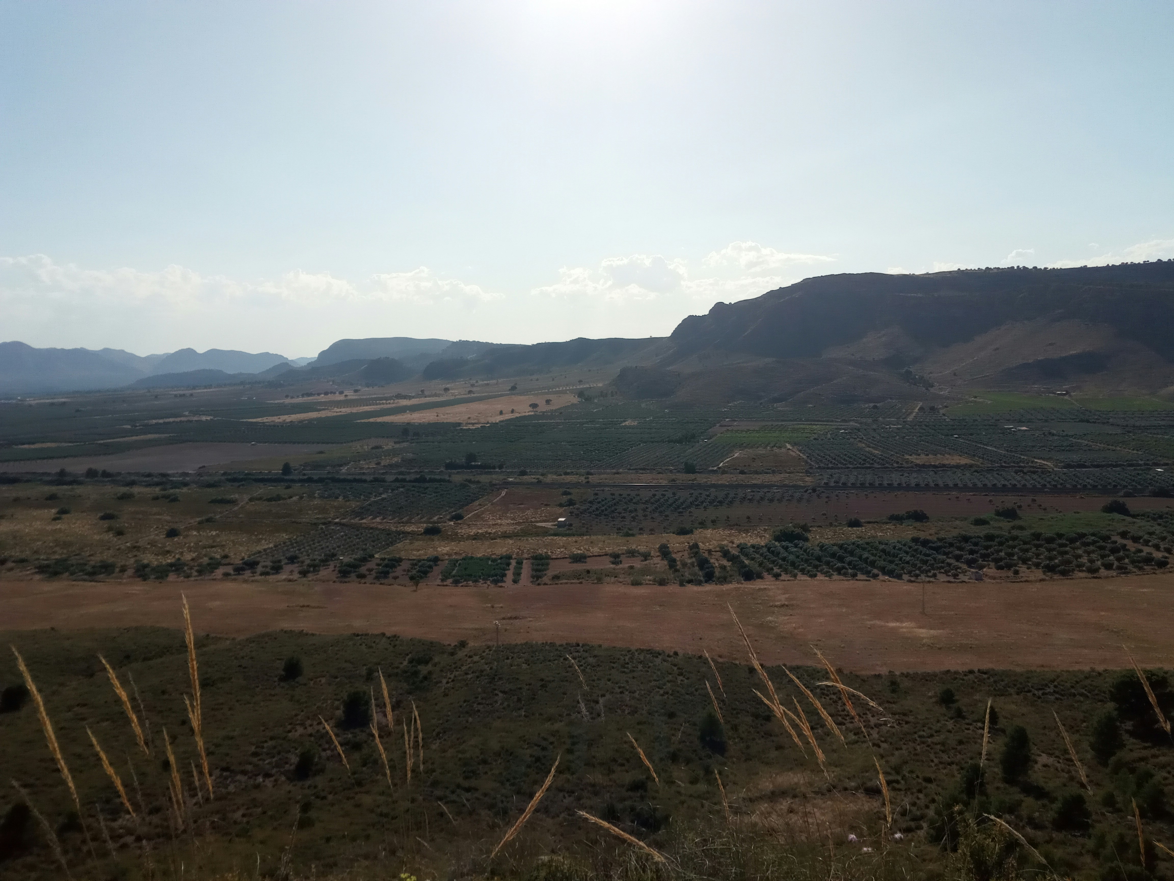 Photo by bancodeimagenes