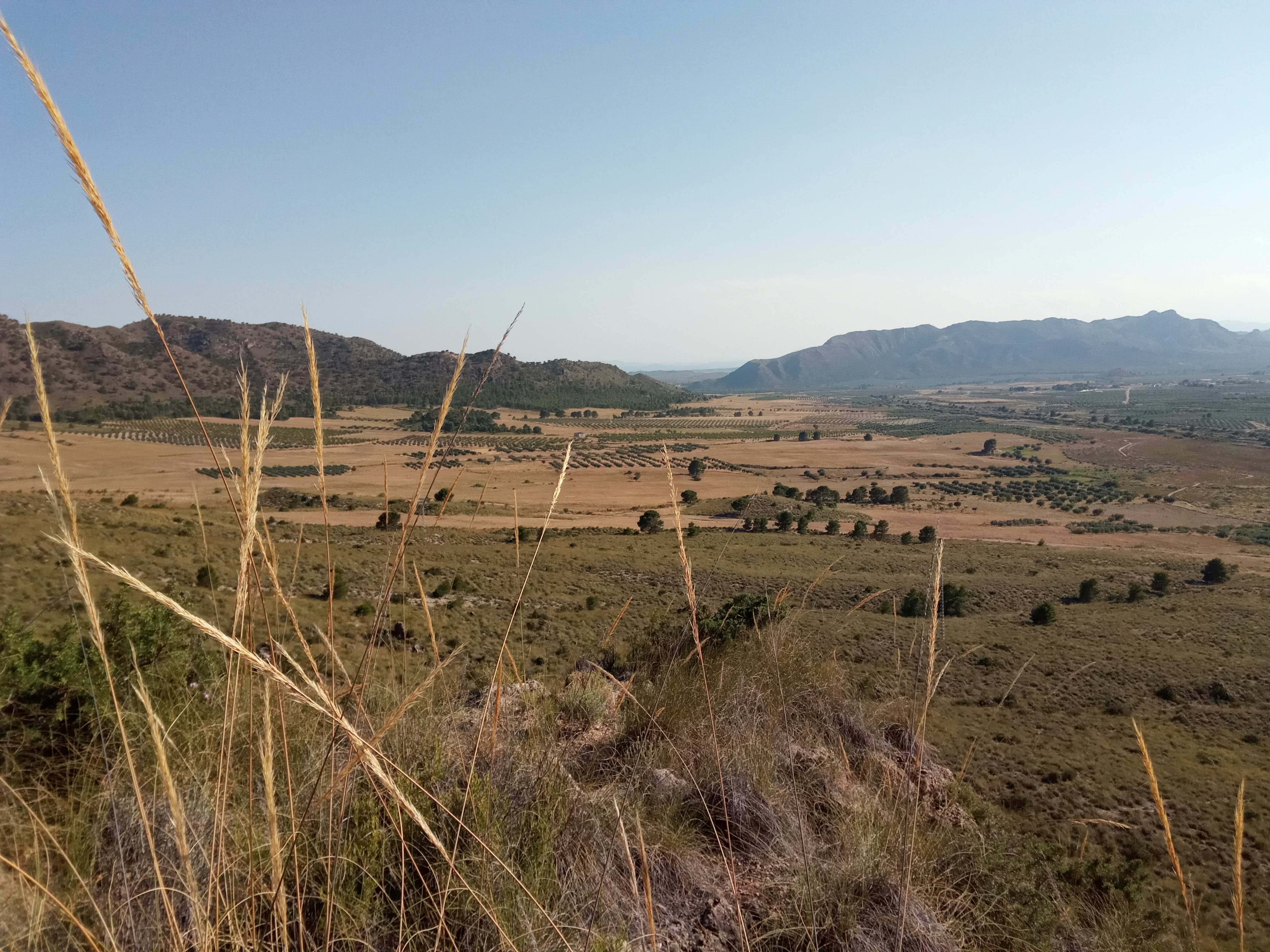 Photo by bancodeimagenes