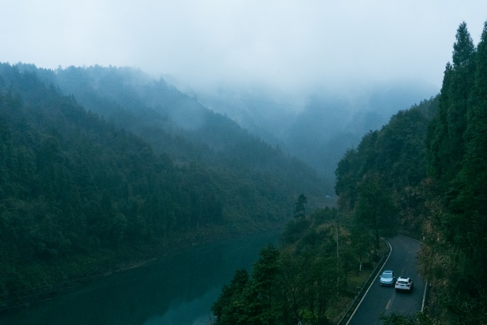 a car driving down a road next to a lush green forest