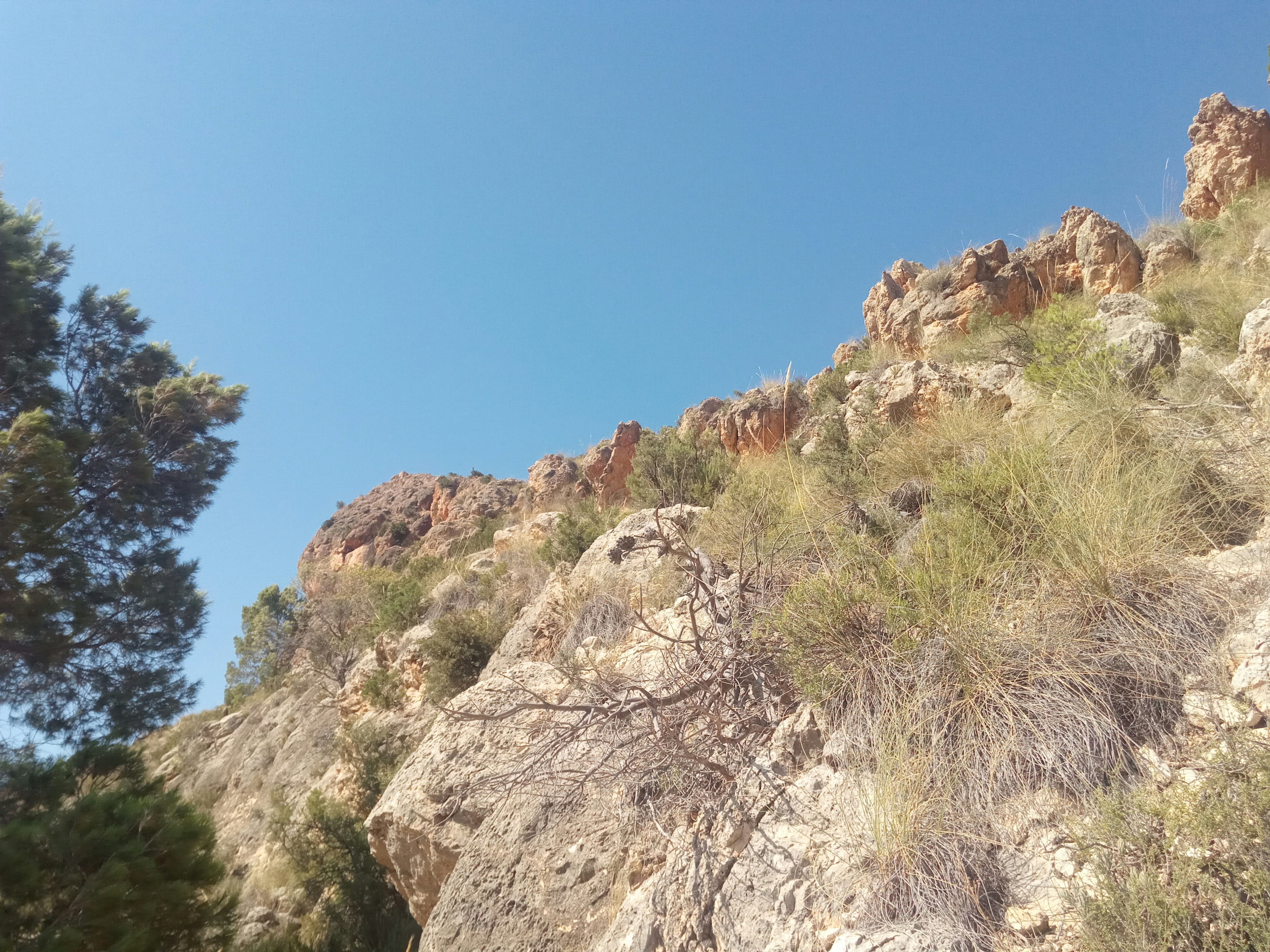 Photo by miactividad