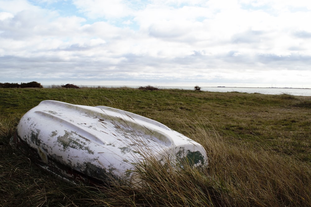 a boat that is laying in the grass