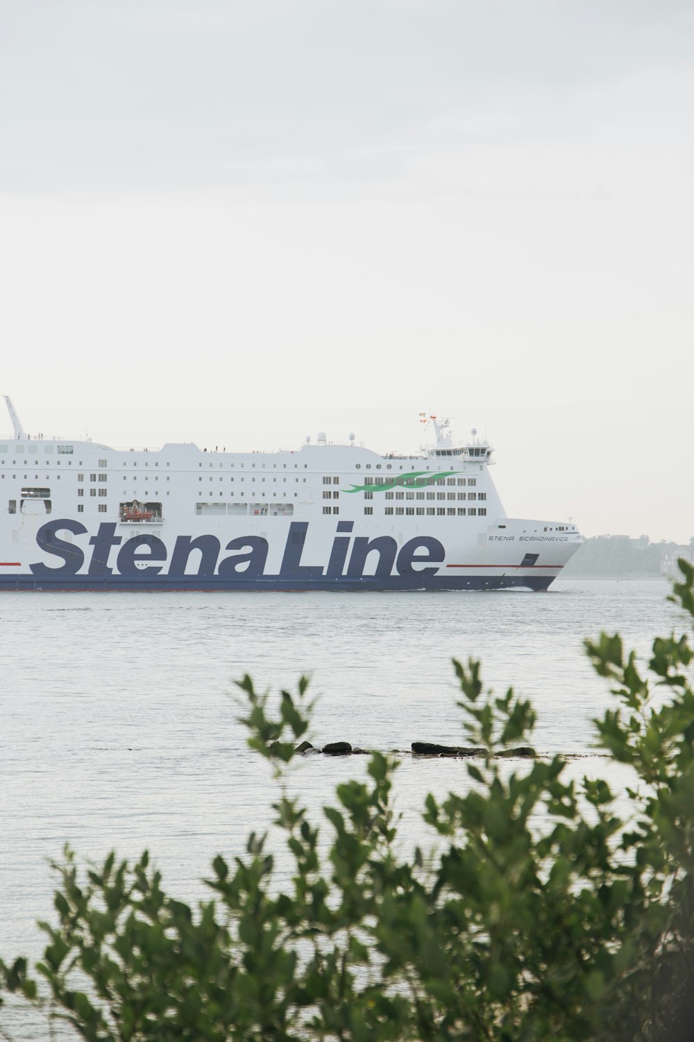 Un gran crucero en un cuerpo de agua