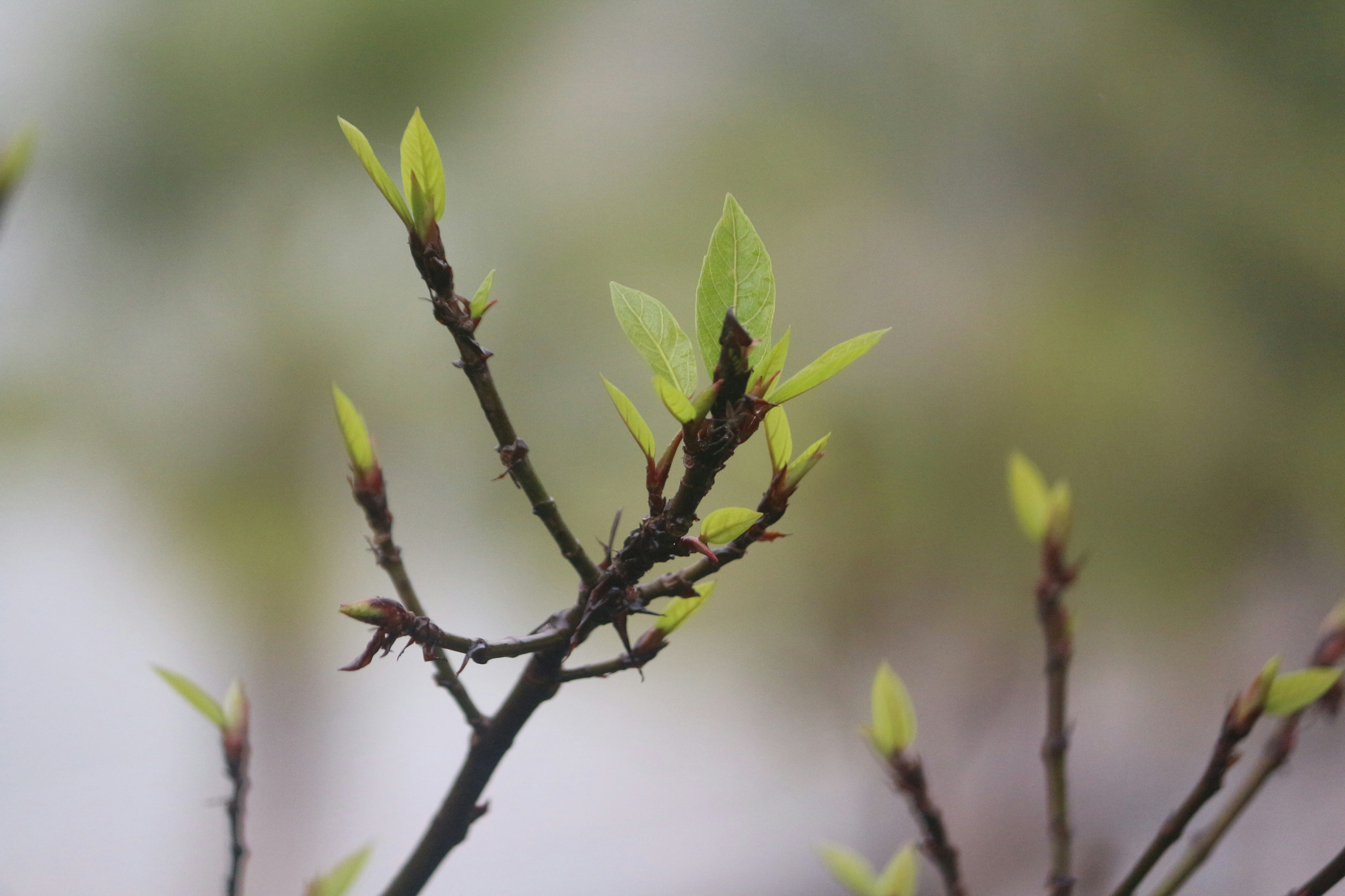 Photo by imagewaladevil_01