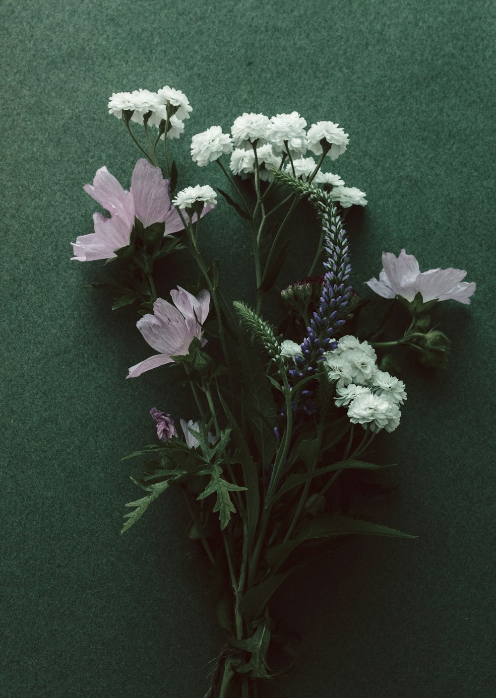 a bunch of white and purple flowers on a green surface