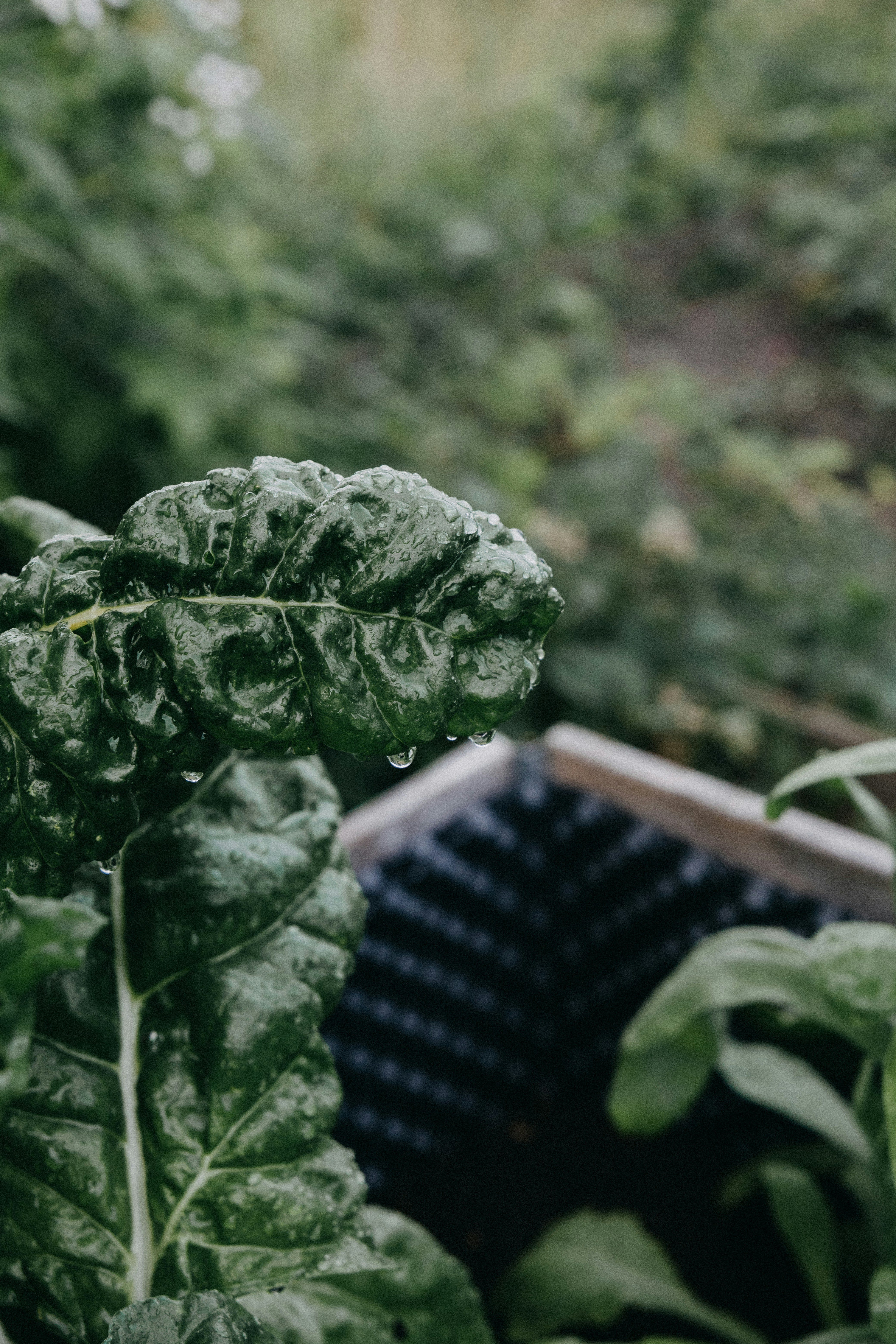 Photo by katharina_bill