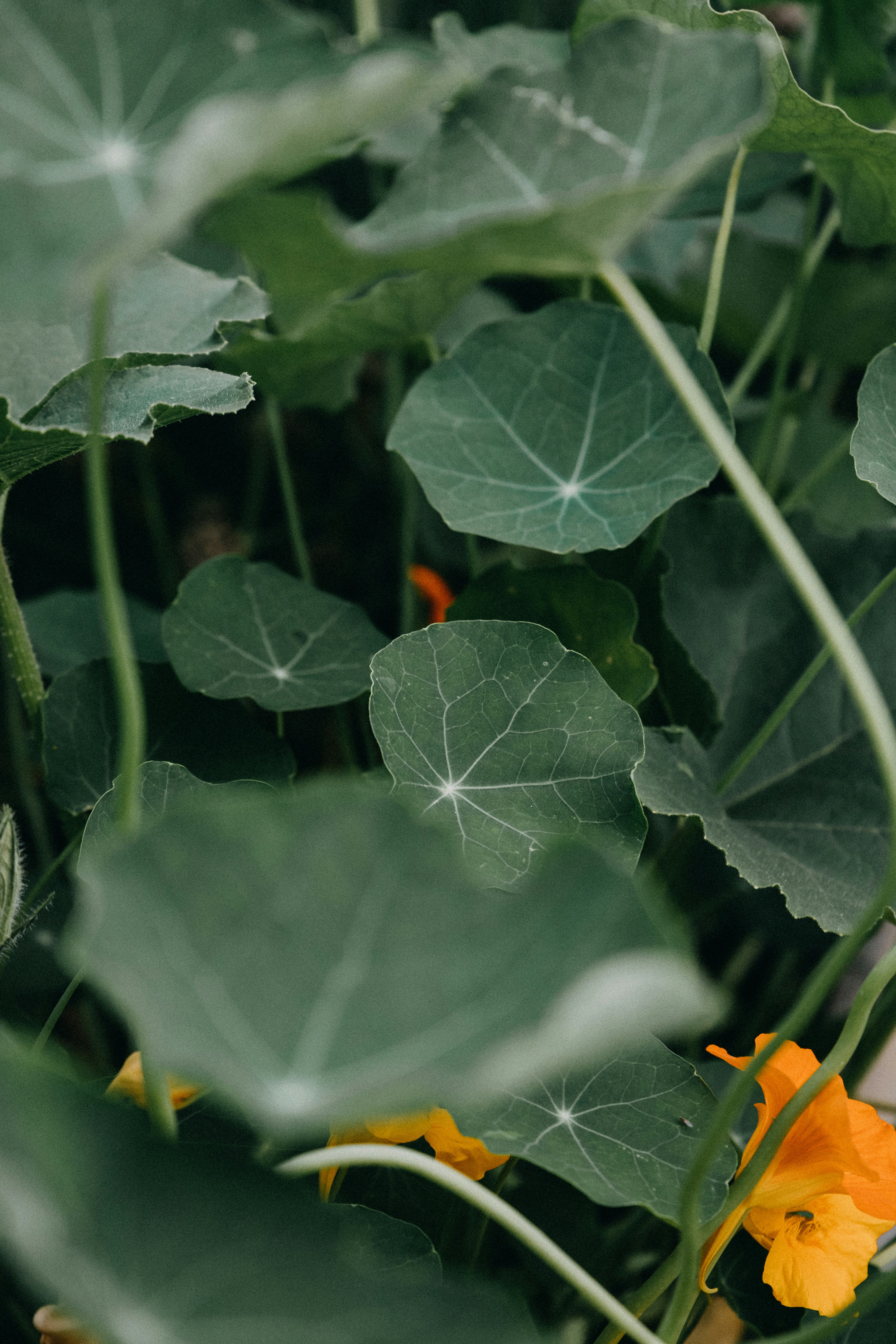 Photo by katharina_bill