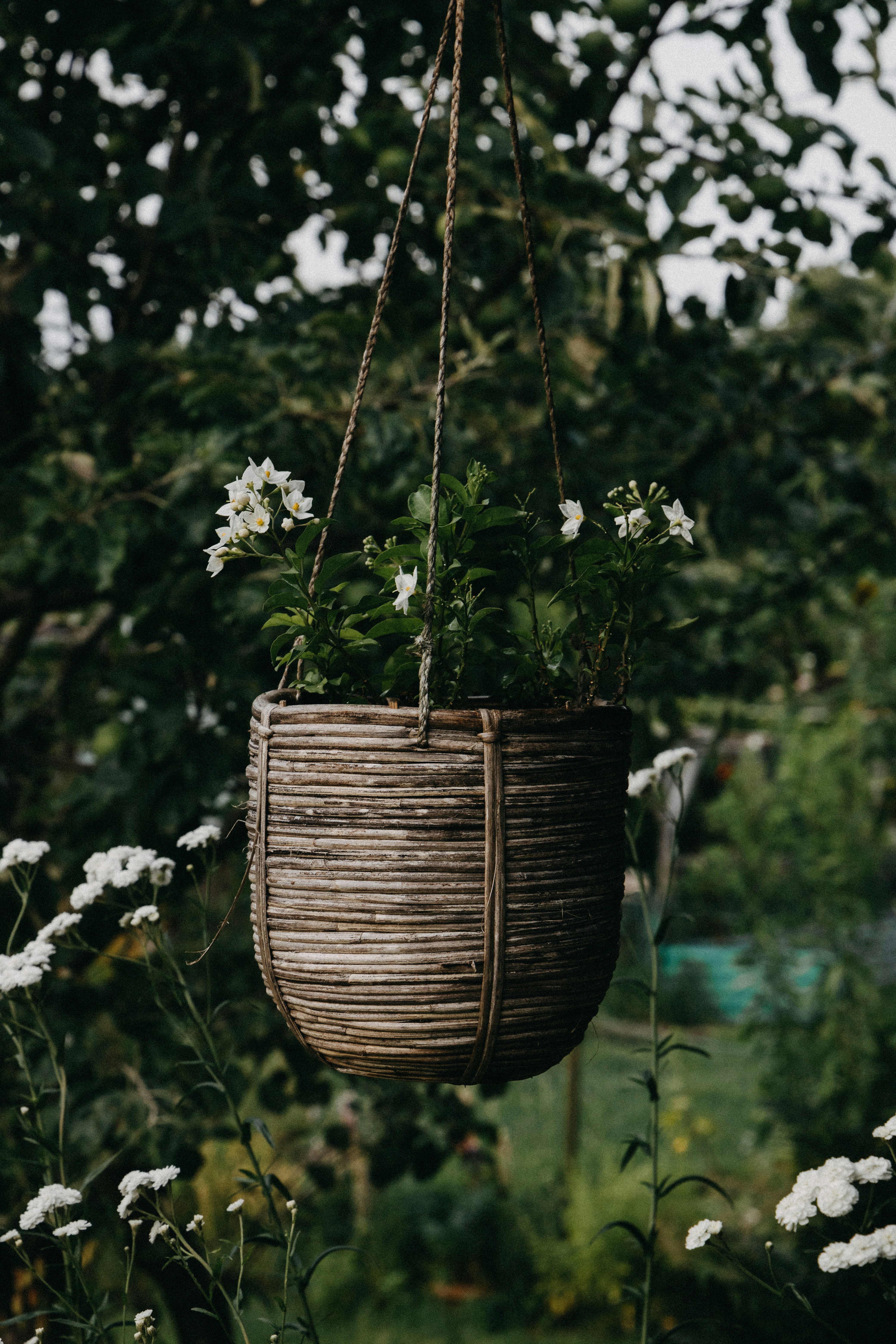 Photo by katharina_bill