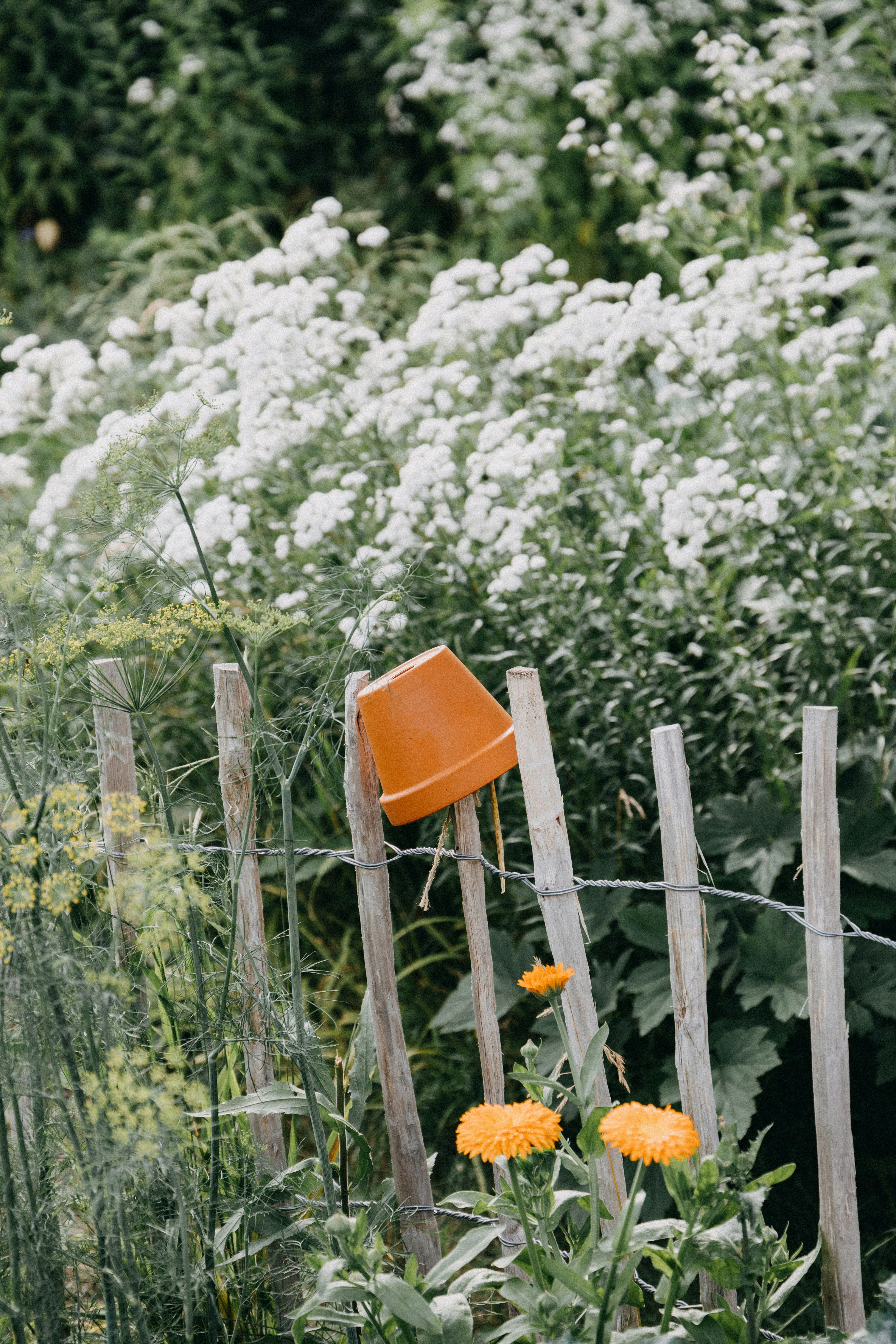 Photo by katharina_bill