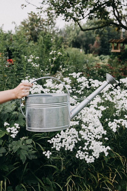 Miniature water garden balcony: helpful reference illustration