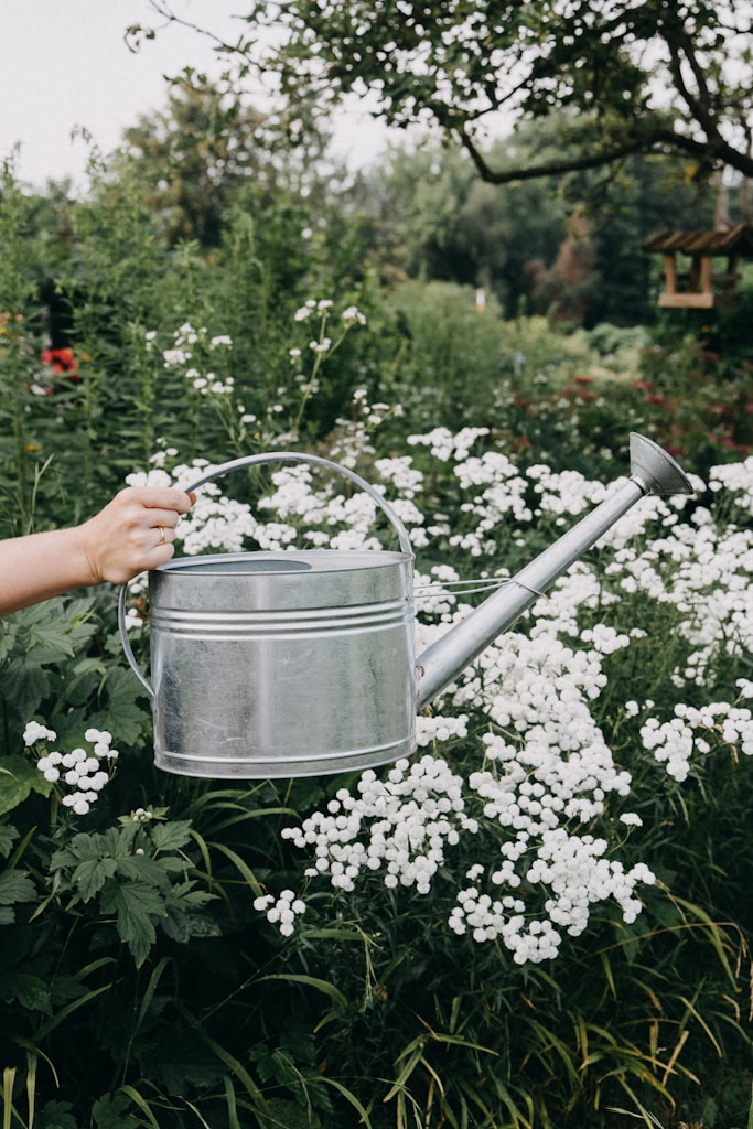 a person holding a watering can in a garden