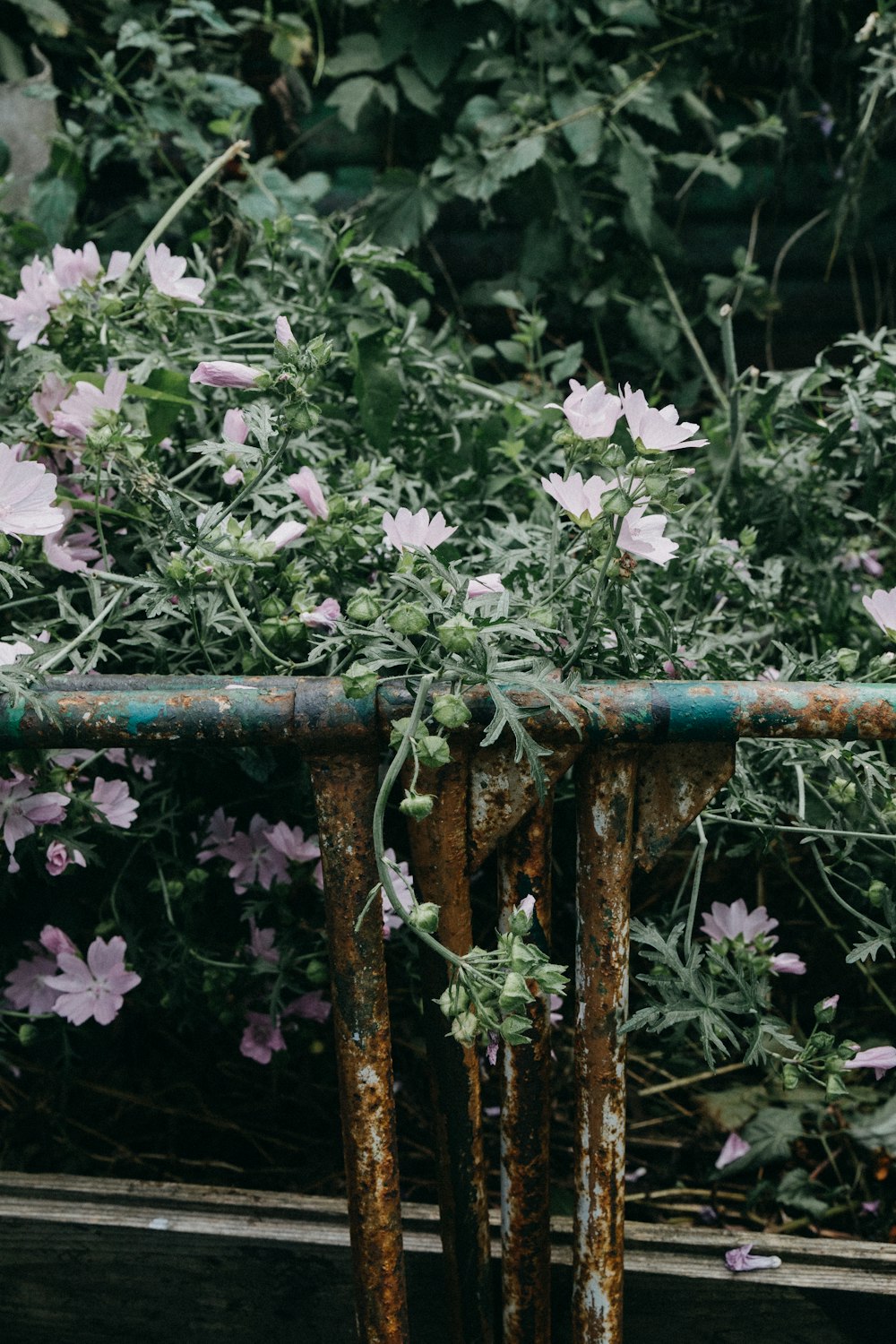 a bunch of flowers that are sitting on a table