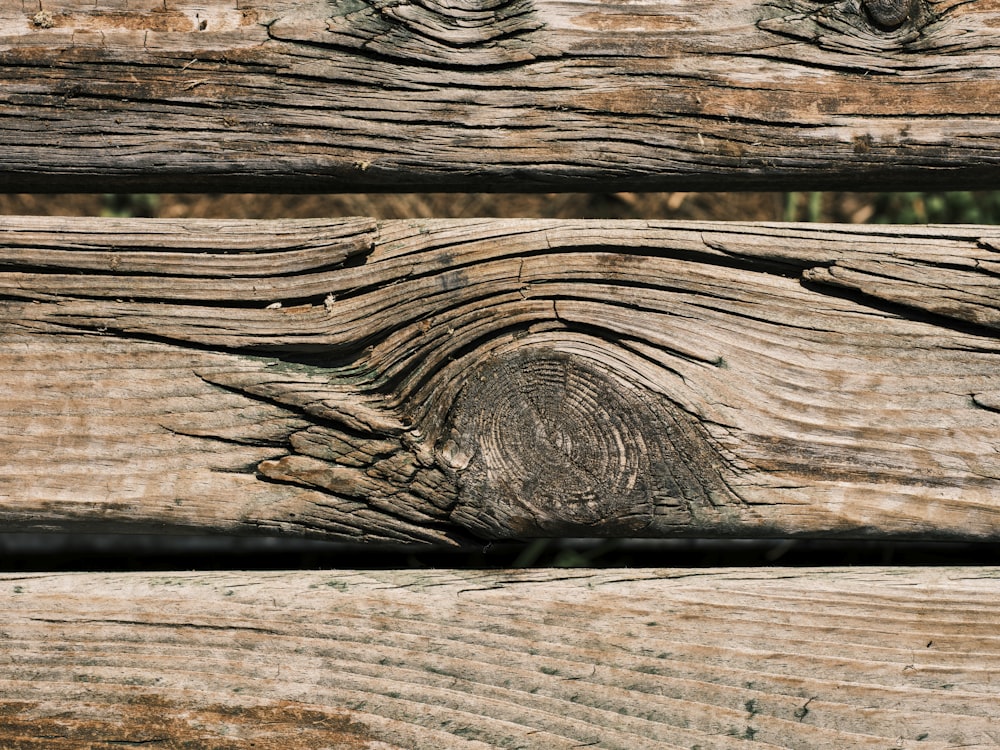 a close up of a wooden fence with a bird perched on top of it