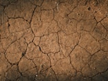 a dirt field with cracks and grass growing on it