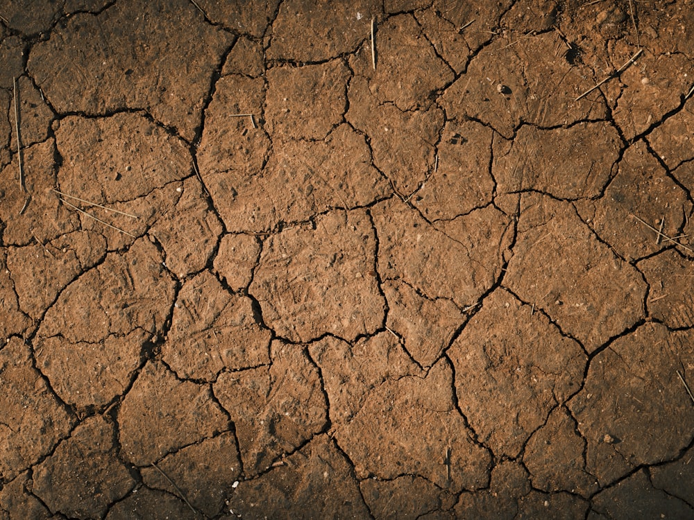 a dirt field with cracks and grass growing on it