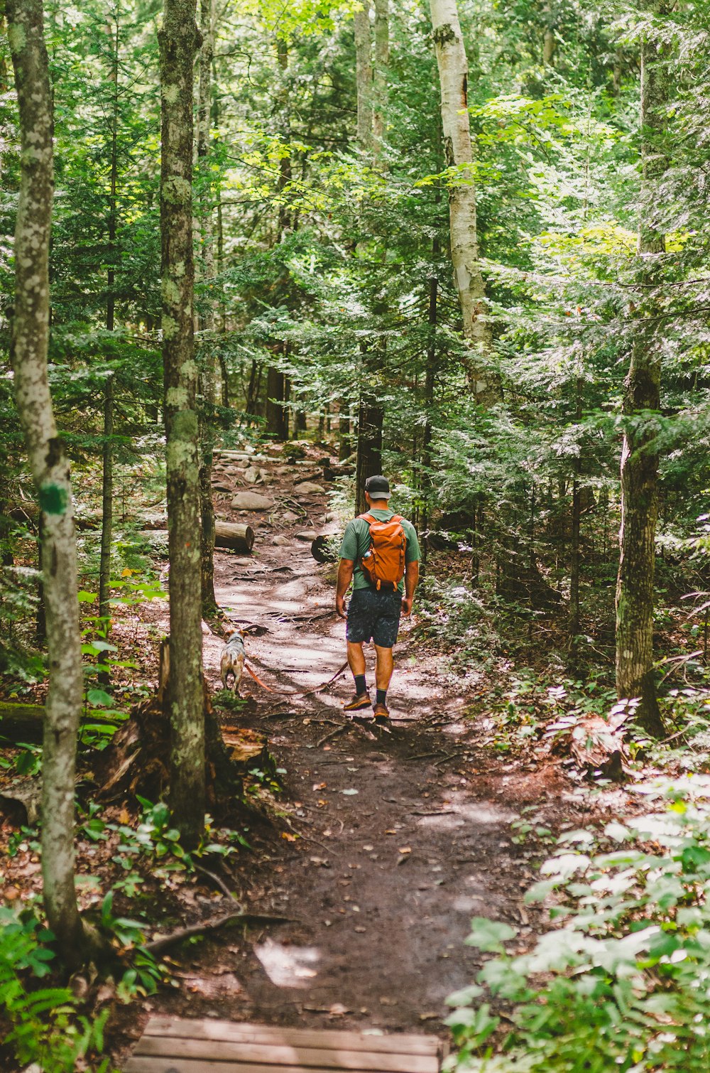 a man walking down a trail in the woods