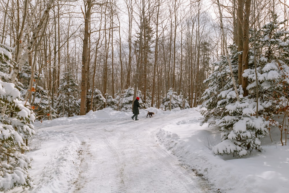 a person walking a dog in the snow