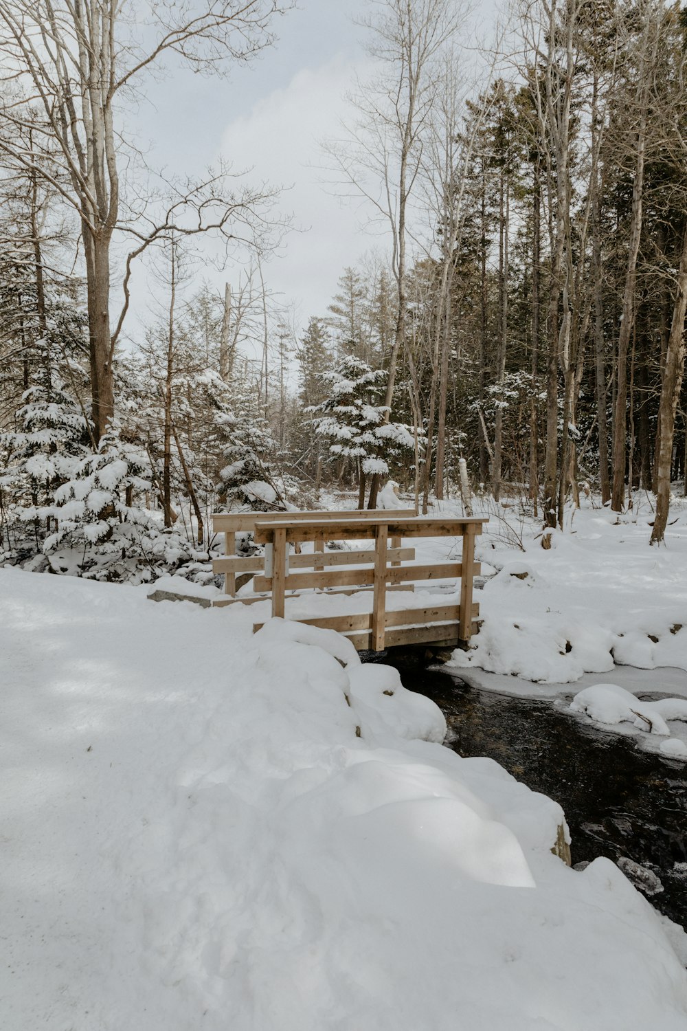 a wooden bridge over a stream in a snowy forest