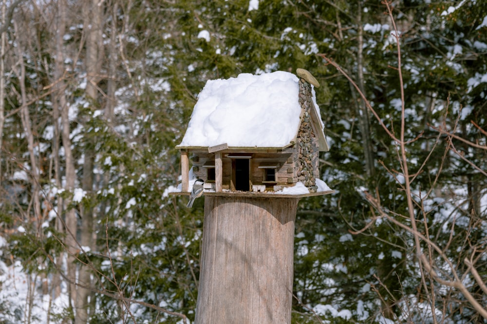a bird house with snow on top of it