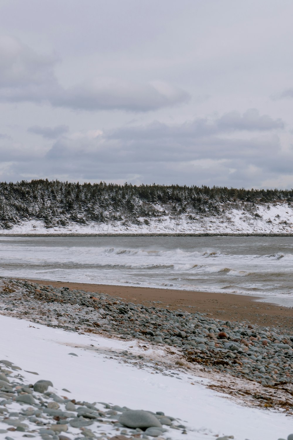 a beach covered in snow next to a forest