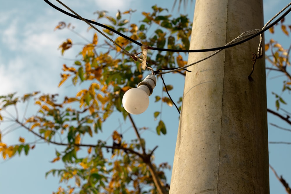 a street light hanging from a telephone pole