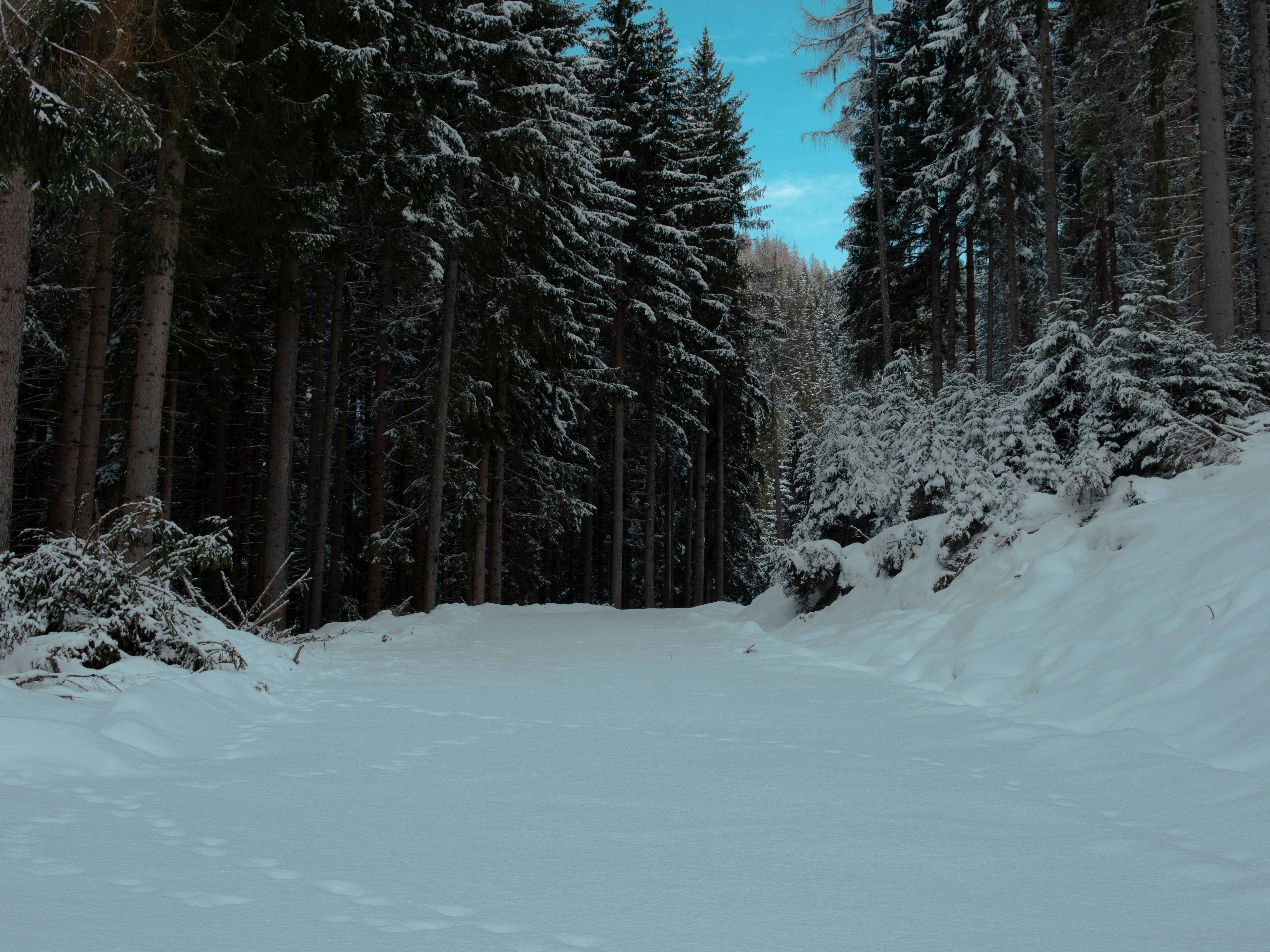 uma pessoa que monta esquis em uma superfície nevada