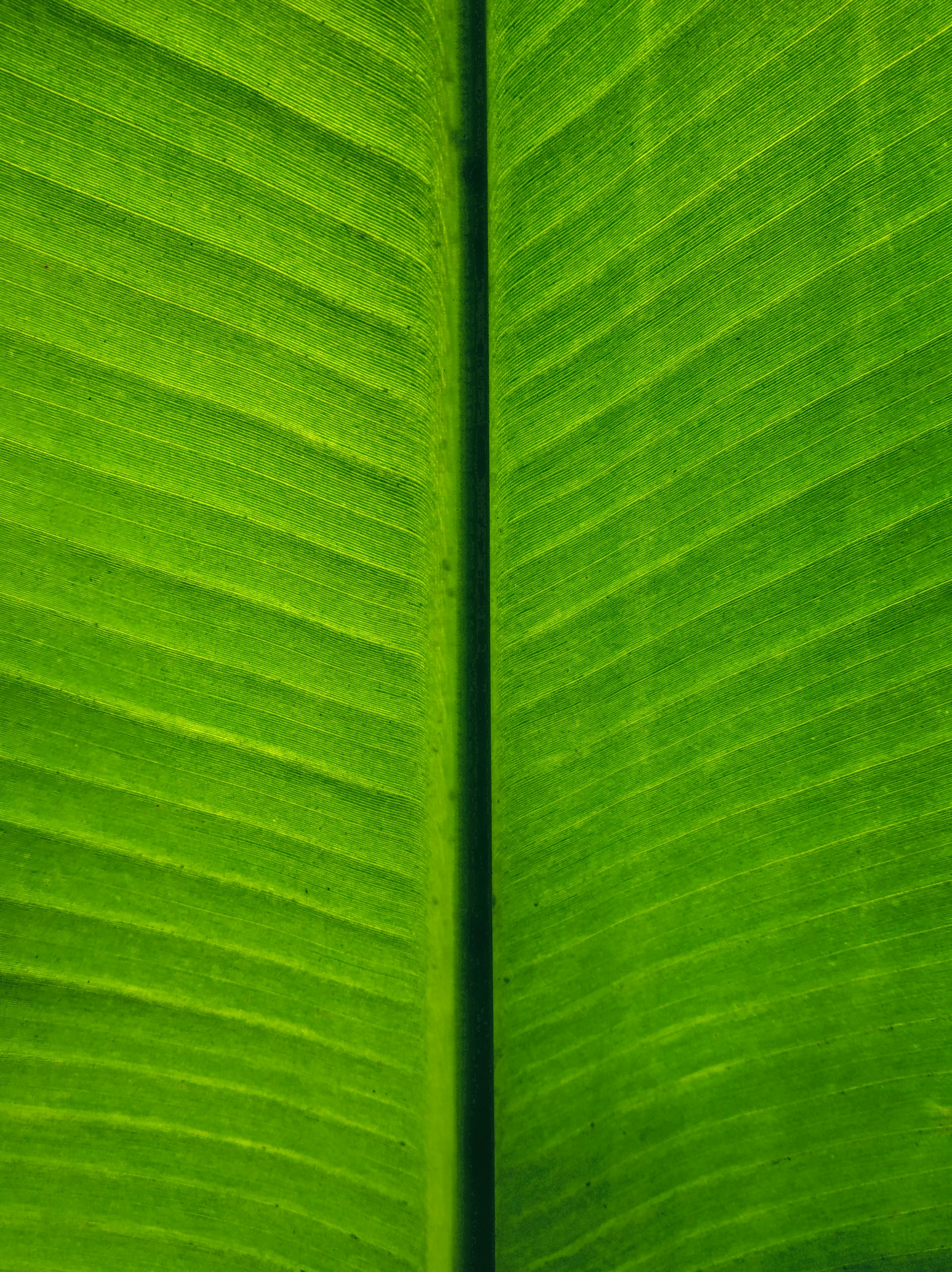 Photo by atomsmasher