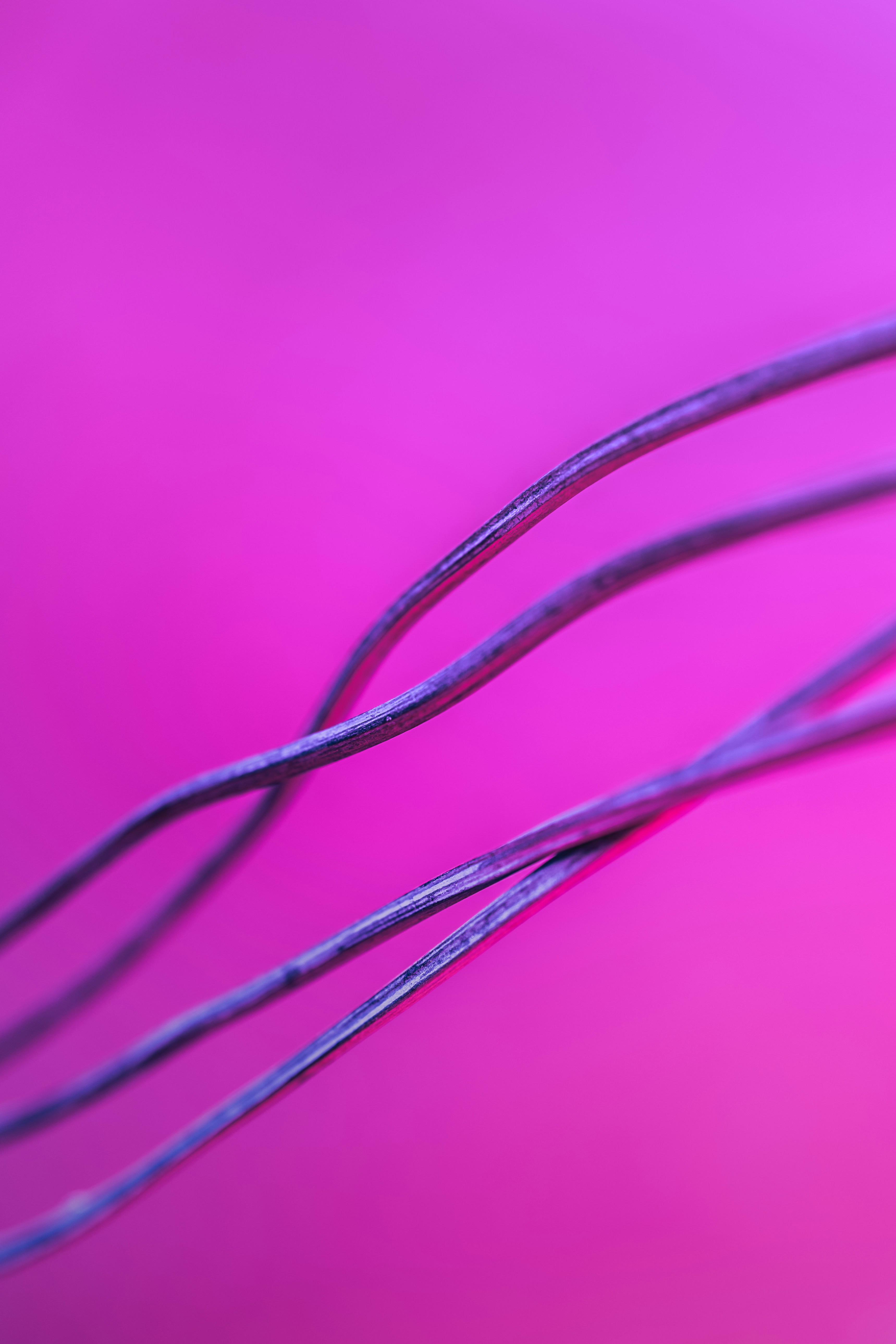 Photo by marekpiwnicki