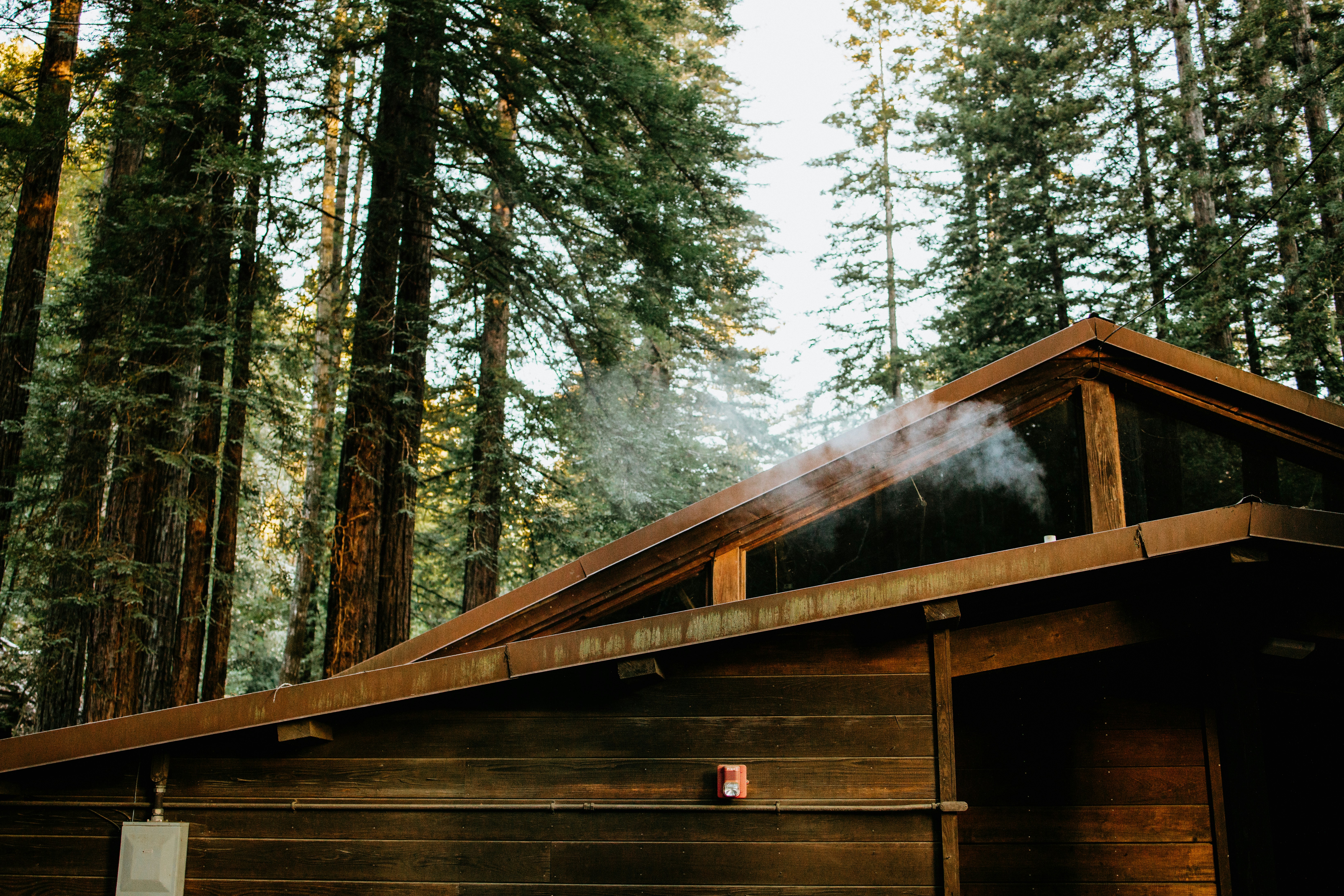 Smoke coming out of the roof of a cabin in the woods photo – Free Wood ...
