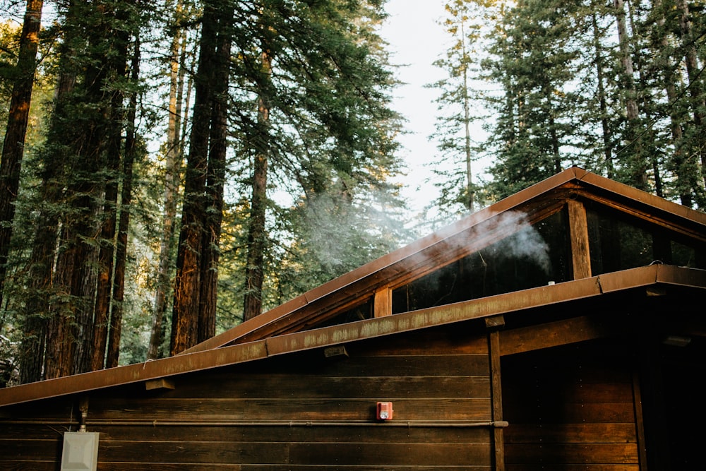 smoke coming out of the roof of a cabin in the woods