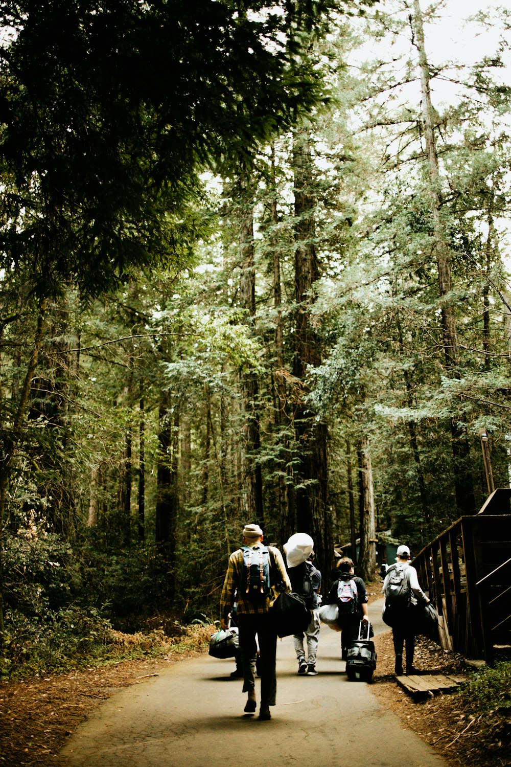 a group of people walking down a path in the woods