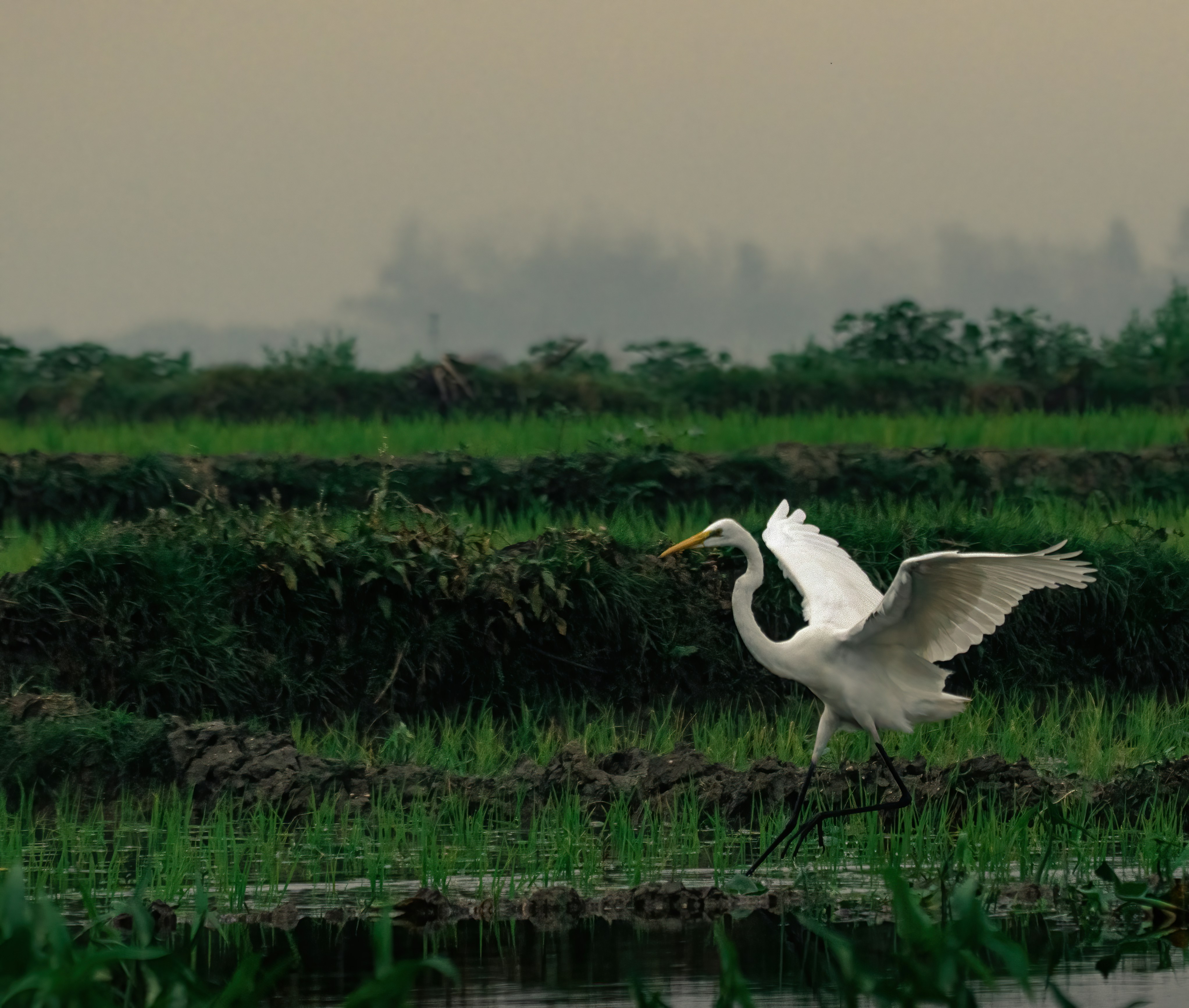 Photo by arnab_dey_photography