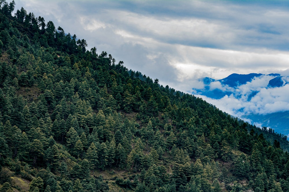 a mountain covered in clouds and trees